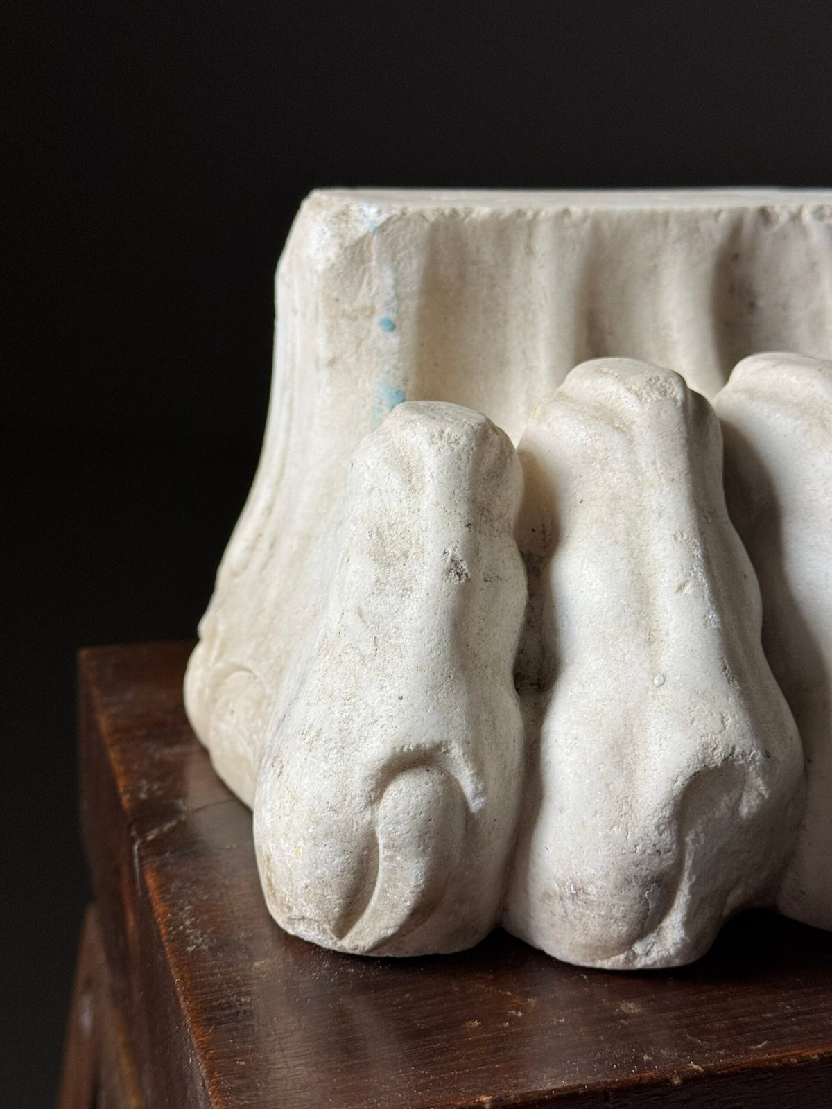 Pair of Hand Carved Marble Lion Paw Feet, 20th Century, photo 9