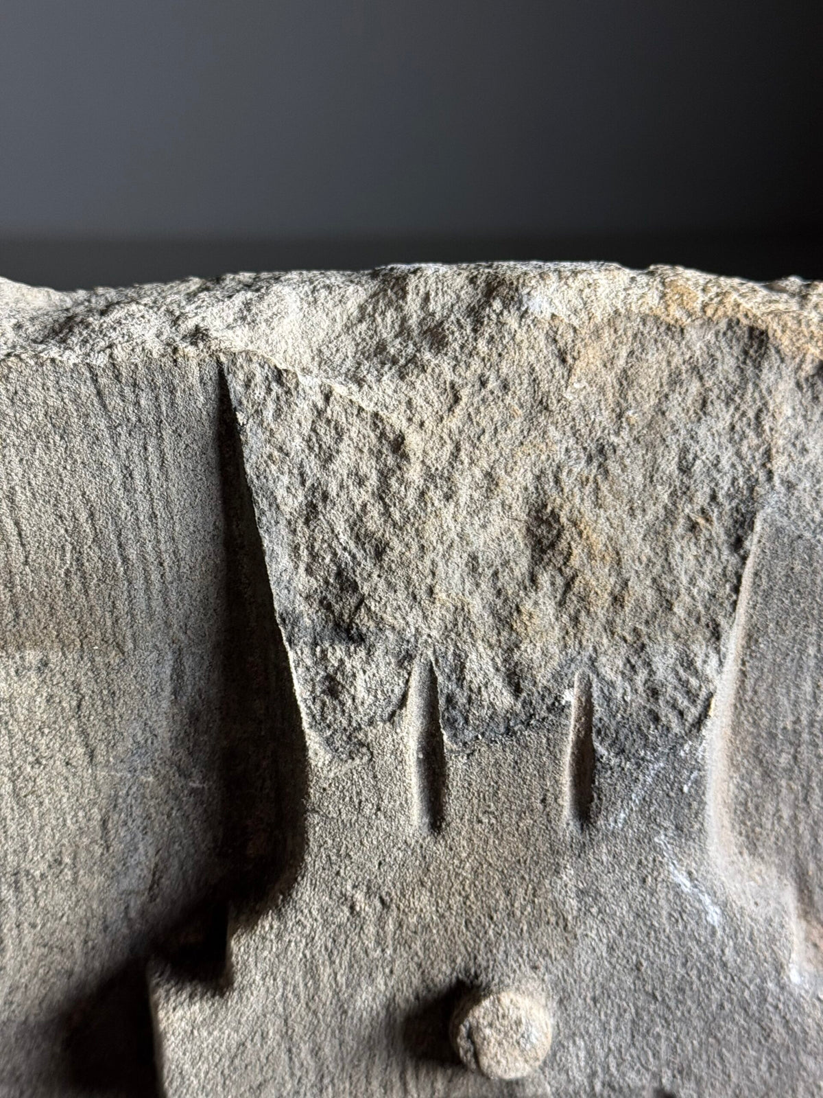 Carved Stone Medusa Fragment on Black Stand, 18th Century, photo 11
