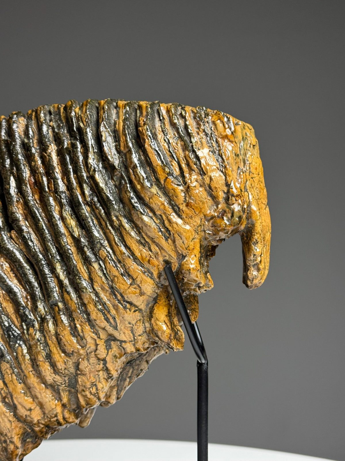 Very Large Fossilised Mammoth Tooth on Custom Stand, photo 8