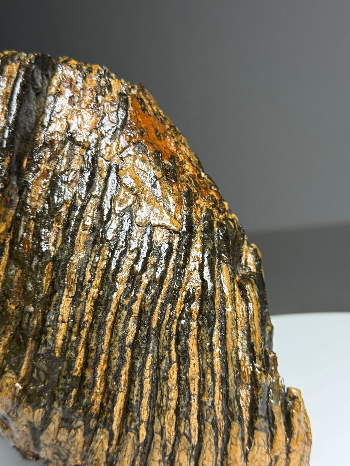 Very Large Fossilised Mammoth Tooth on Custom Stand, photo 13