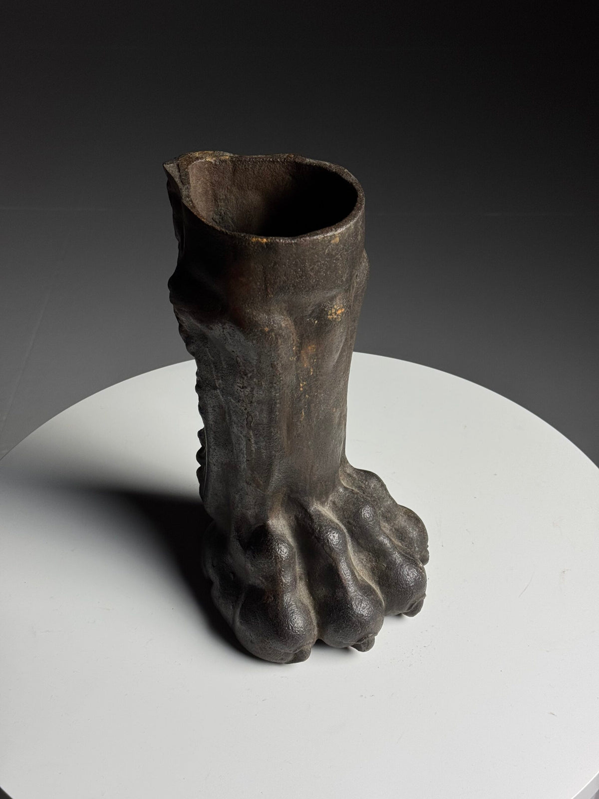Life-size Cast Iron Lion's Paw, 19th Century, photo 16