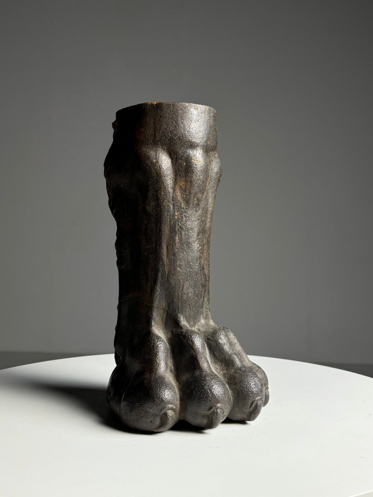 Life-size Cast Iron Lion's Paw, 19th Century, photo 15