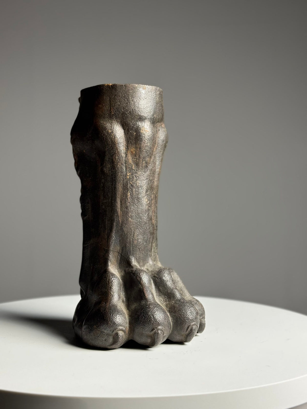 Life-size Cast Iron Lion's Paw, 19th Century, photo 14