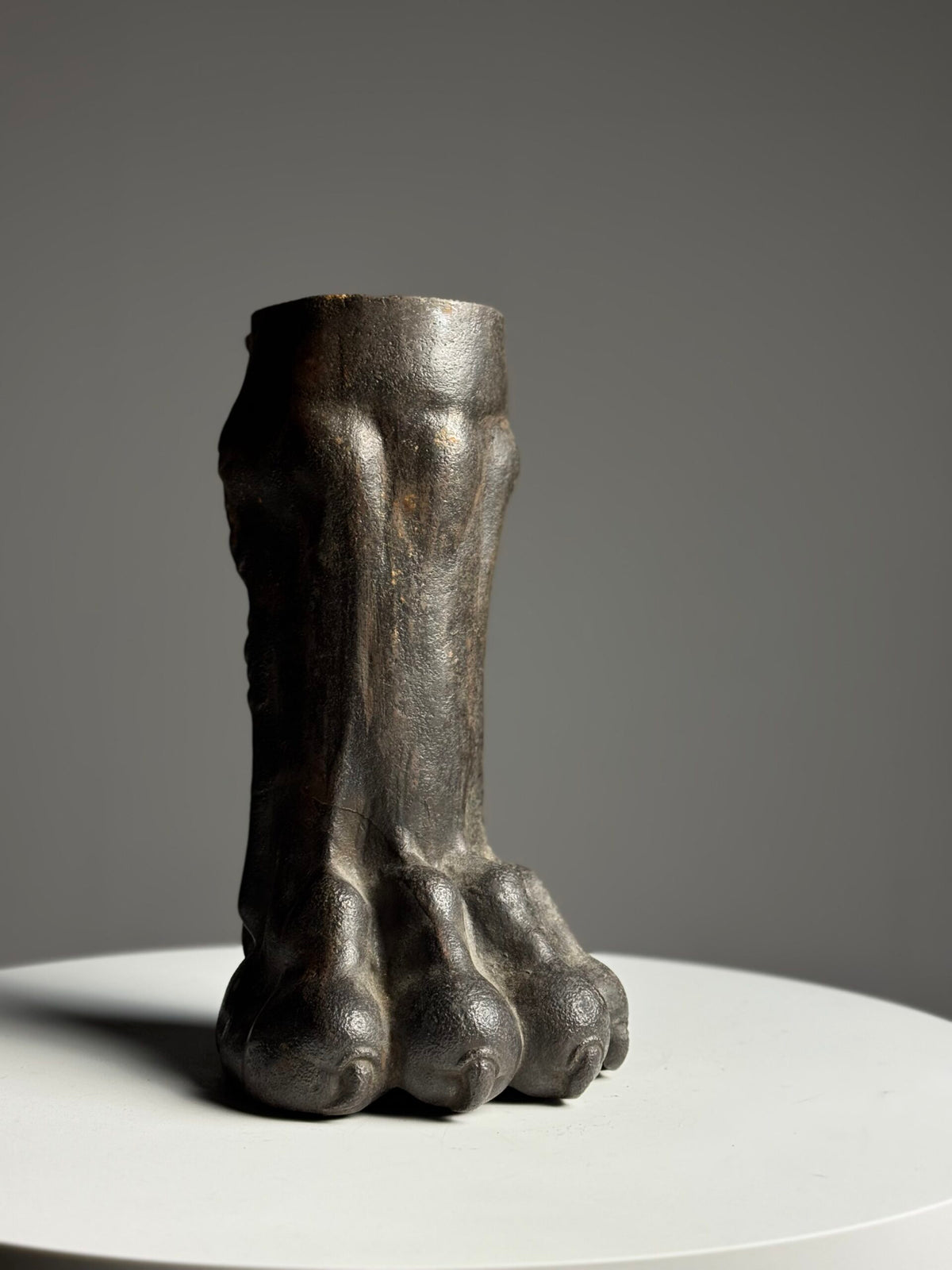 Life-size Cast Iron Lion's Paw, 19th Century, photo 13