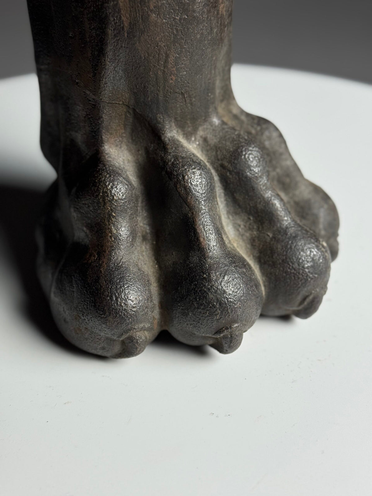 Life-size Cast Iron Lion's Paw, 19th Century, photo 4