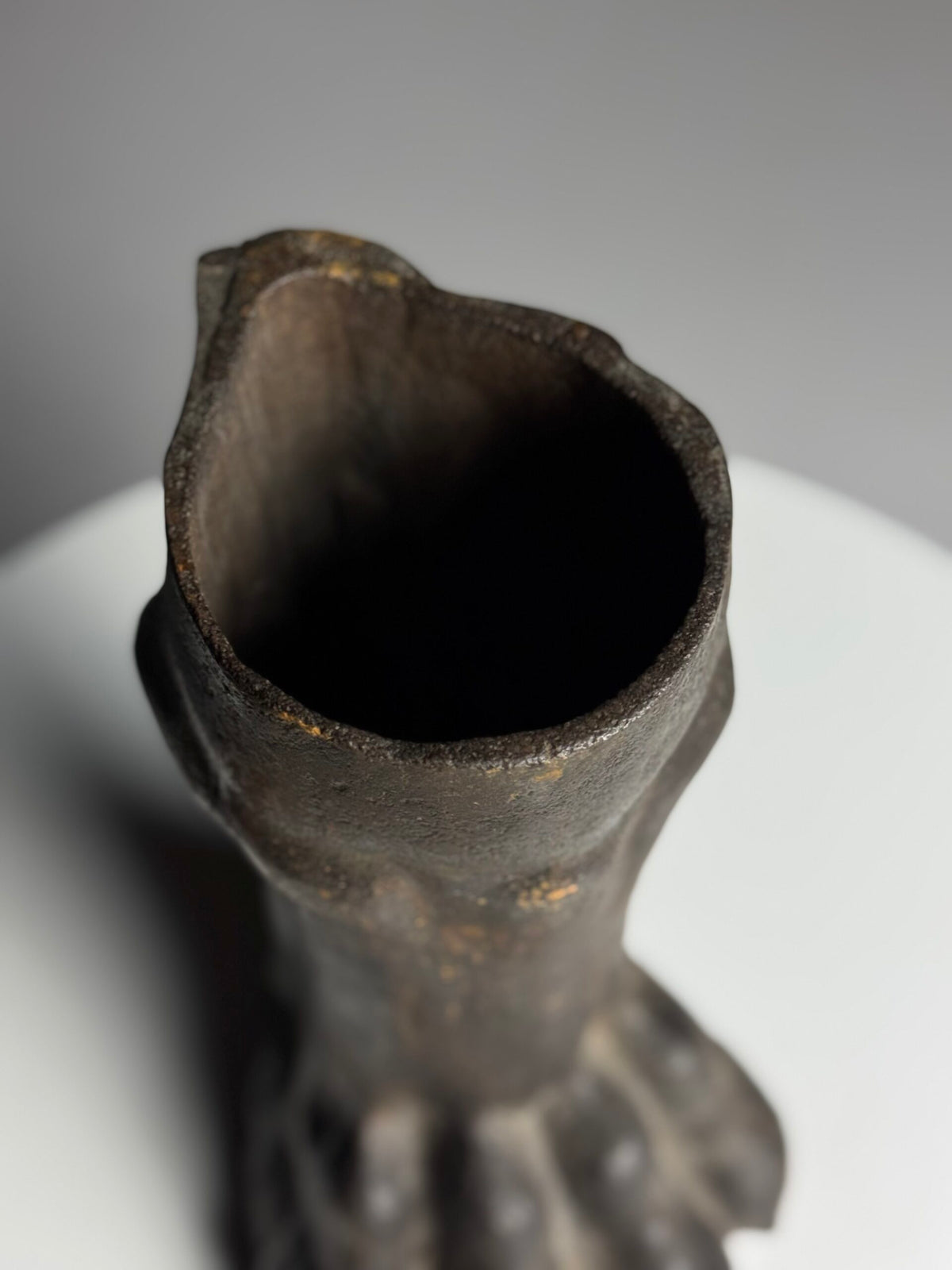 Life-size Cast Iron Lion's Paw, 19th Century, photo 10
