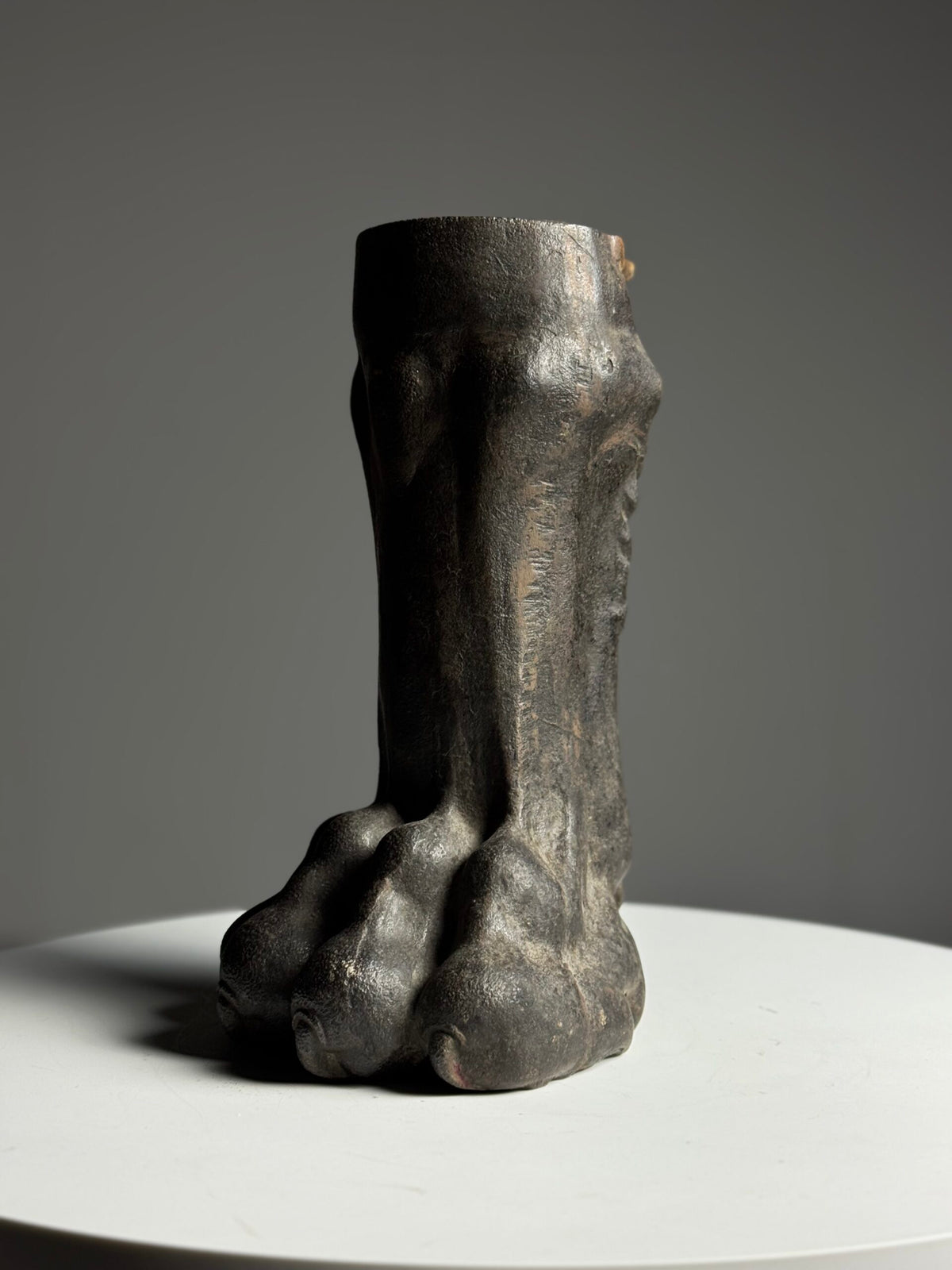 Life-size Cast Iron Lion's Paw, 19th Century, photo 9