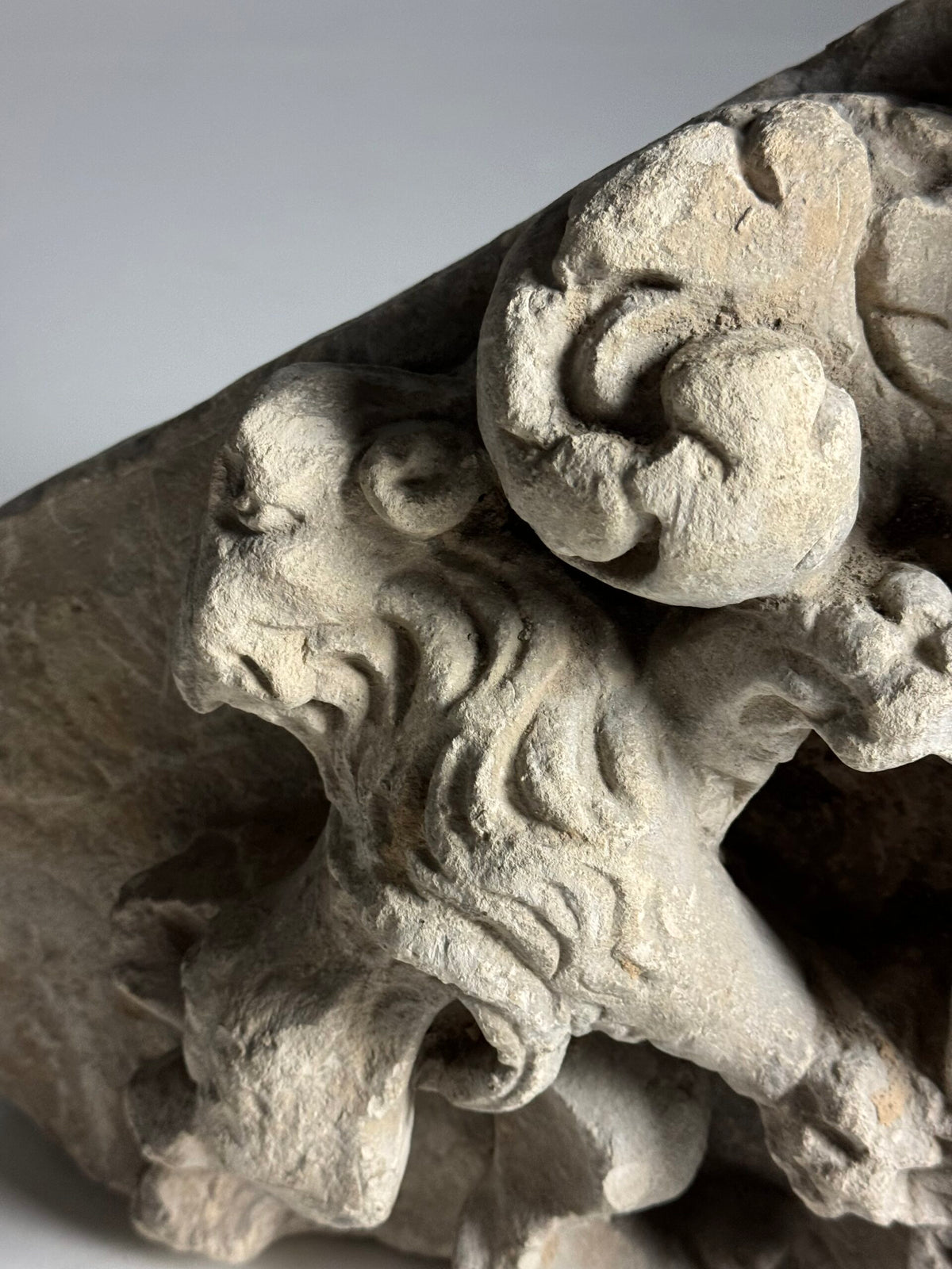 Hand Carved Limestone Coat of Arms, Dutch or Flemish, 18th Century, photo 14