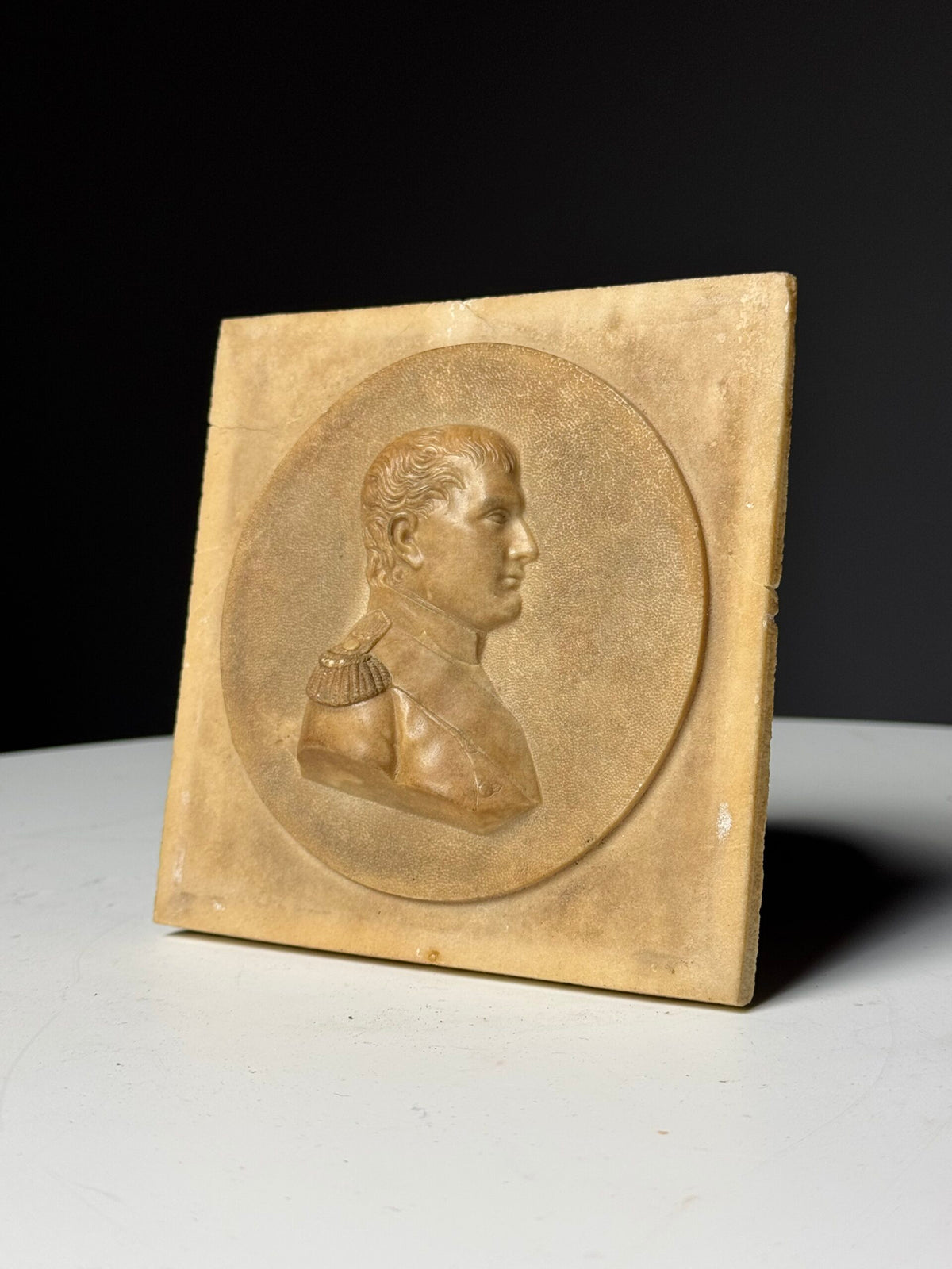 Napoleon Bonaparte Medallion in Petrified Limestone, 19th Century, photo 11