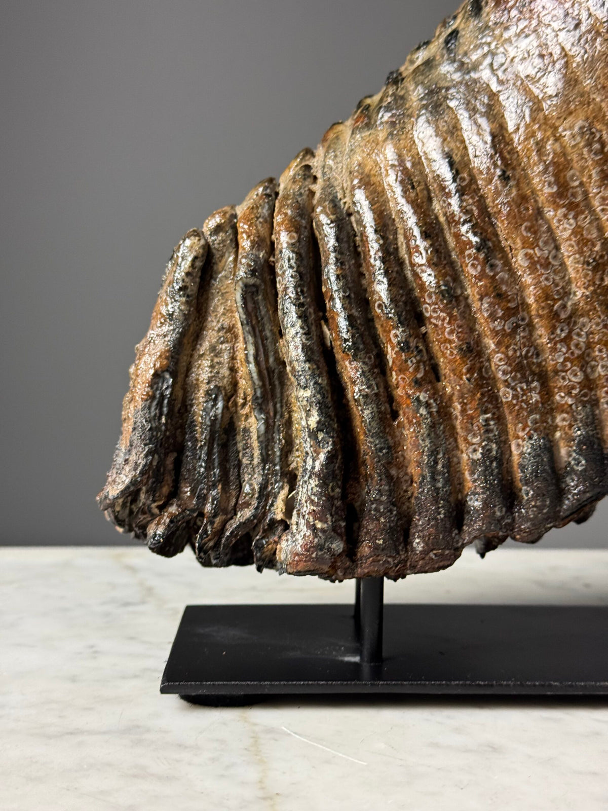 Fossilised Mammoth Tooth on Custom Stand, photo 8