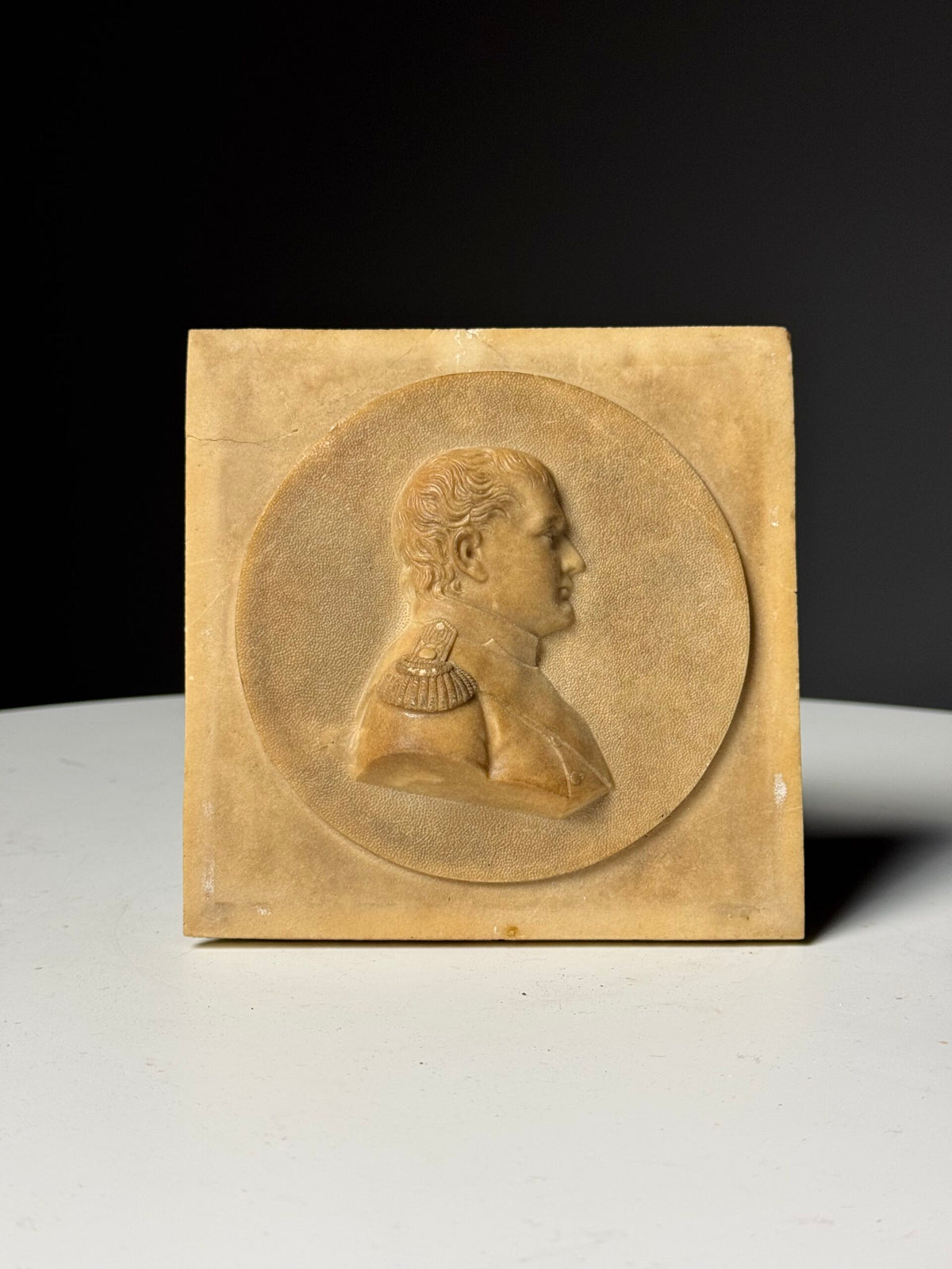 Napoleon Bonaparte Medallion in Petrified Limestone, 19th Century, photo 9