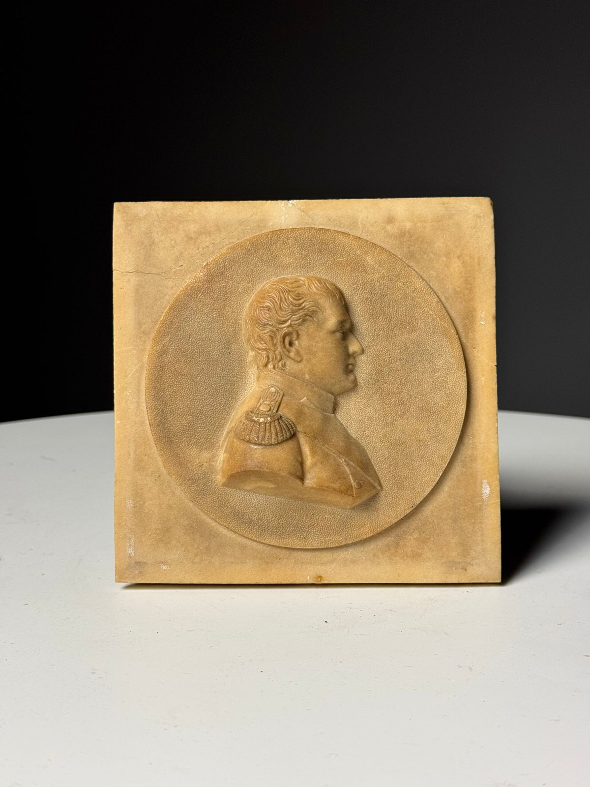 Napoleon Bonaparte Medallion in Petrified Limestone, 19th Century, photo 1