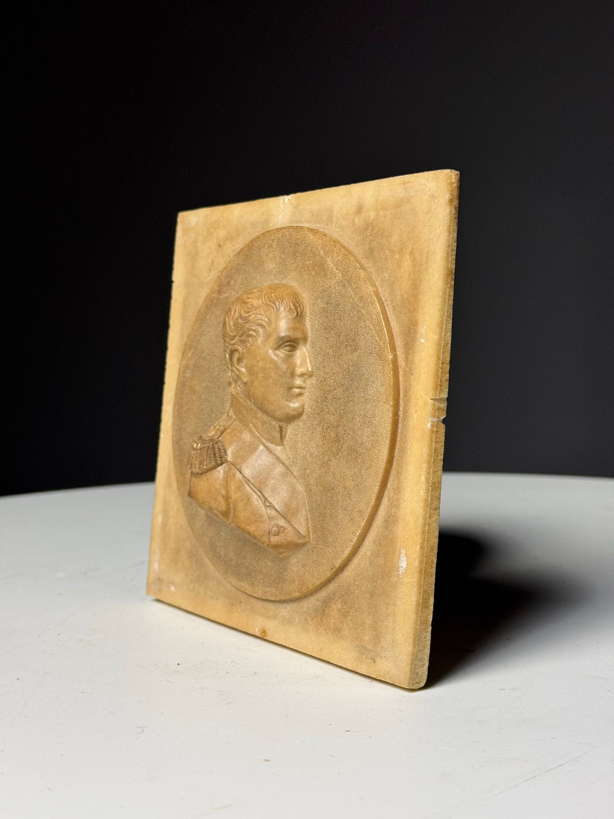 Napoleon Bonaparte Medallion in Petrified Limestone, 19th Century, photo 8