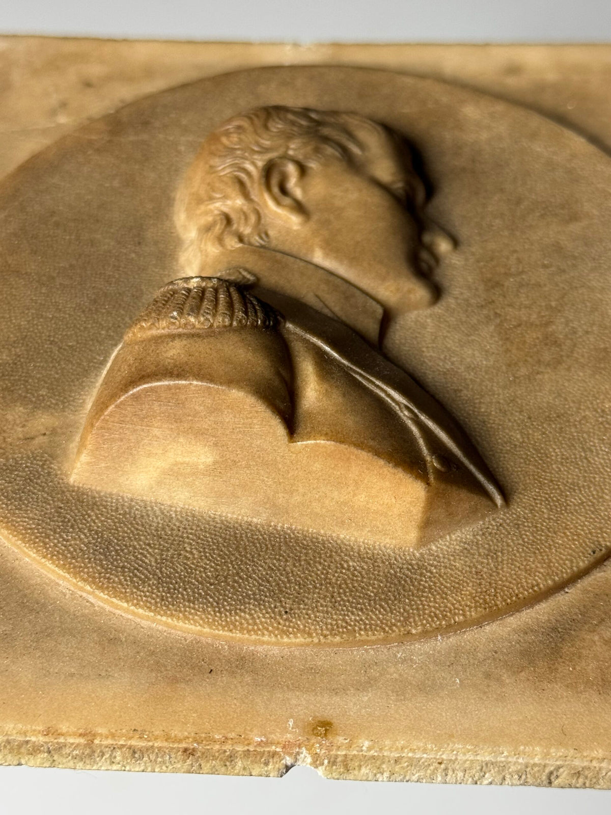 Napoleon Bonaparte Medallion in Petrified Limestone, 19th Century, photo 4