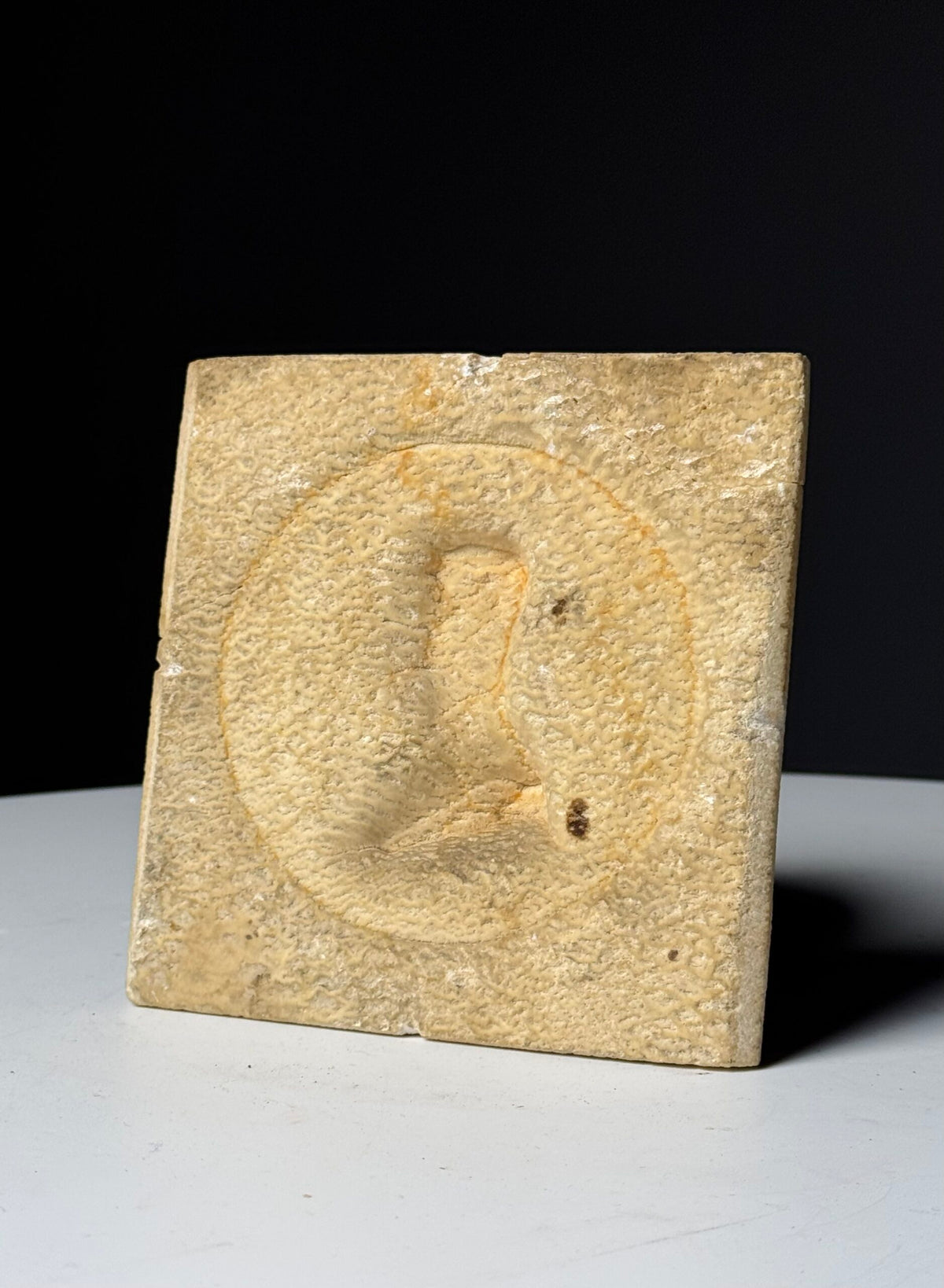 Napoleon Bonaparte Medallion in Petrified Limestone, 19th Century, photo 2