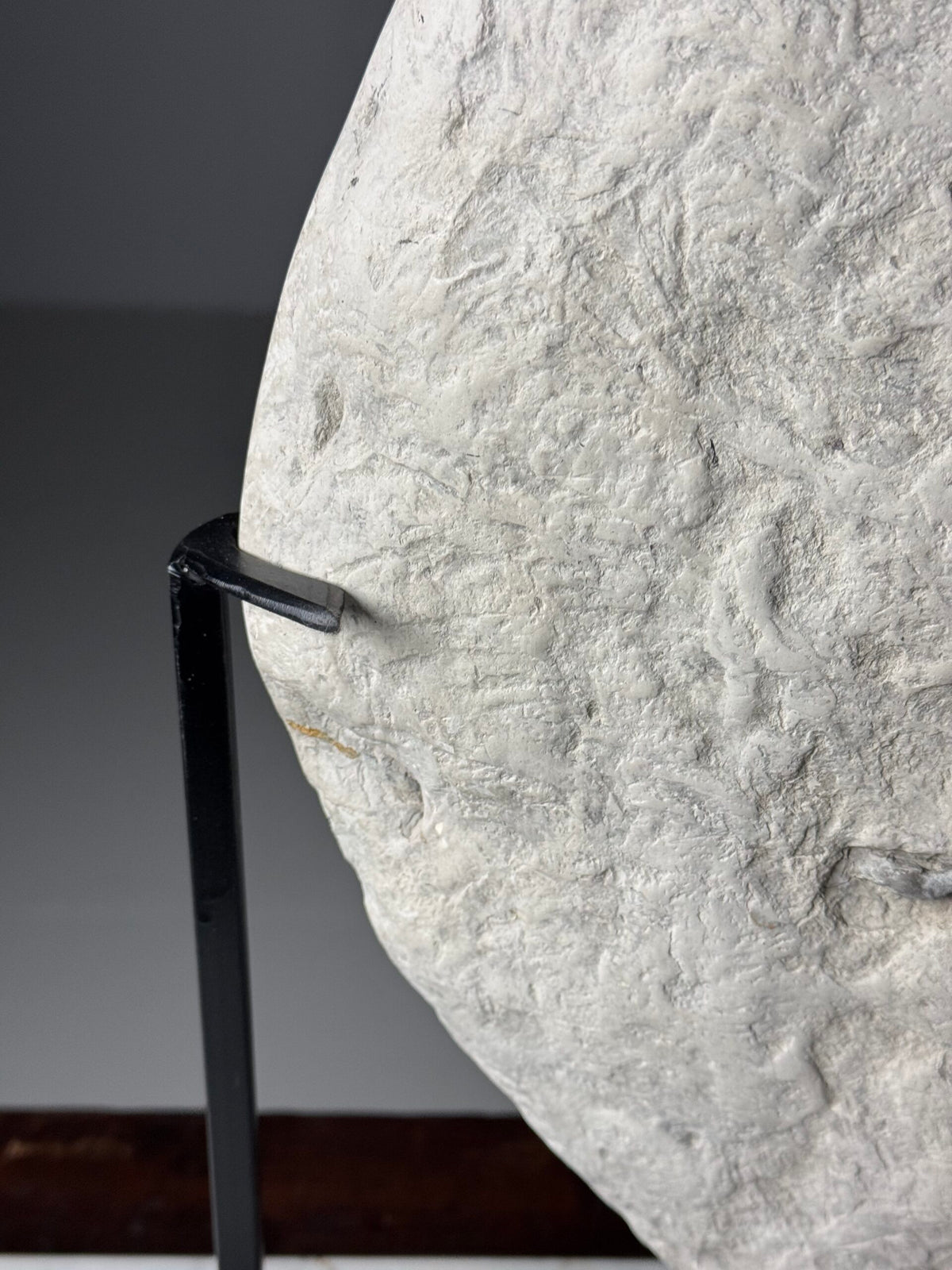 Septaria Nodule Cross Section on Metal Stand, photo 7