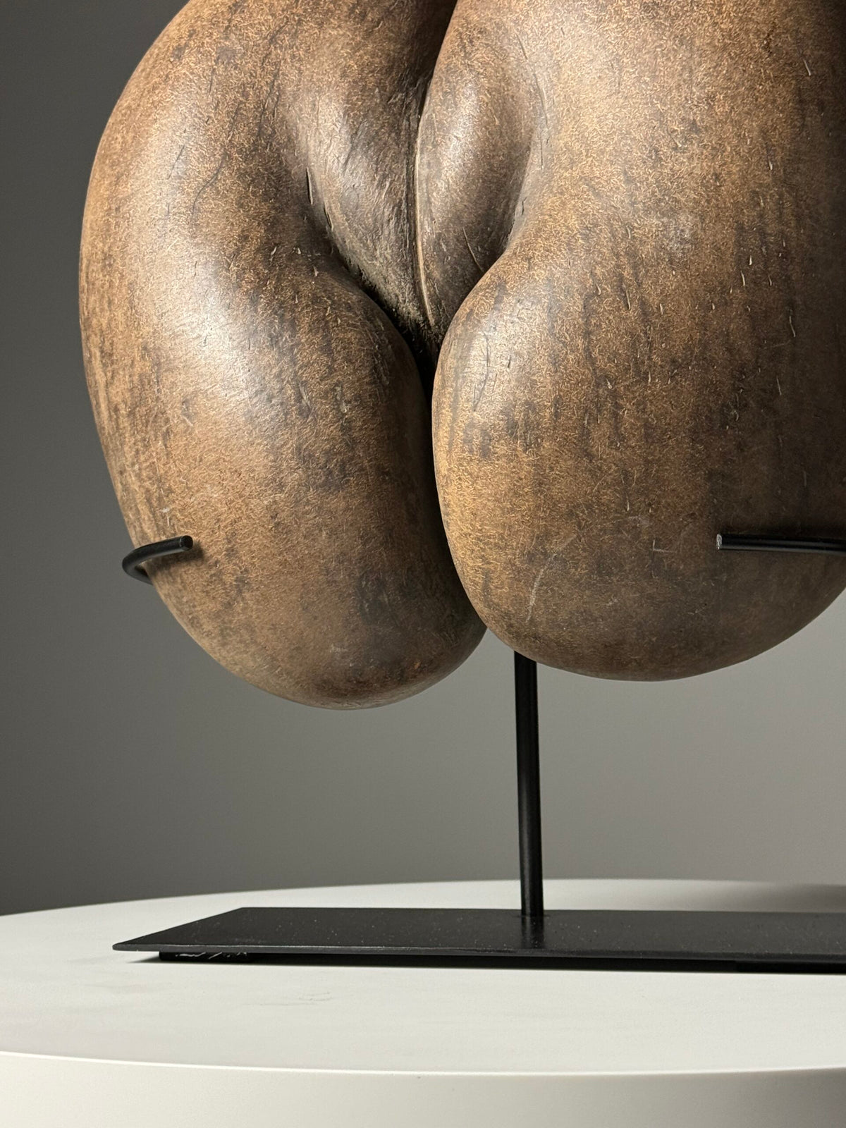 Coco de Mer Seed on Stand, photo 9