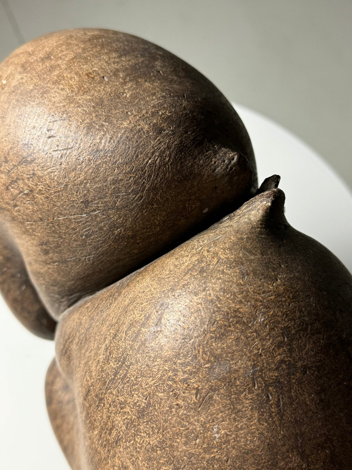 Coco de Mer Seed on Stand, photo 12