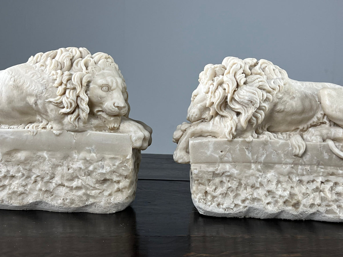 Pair of Marble Dust Canova Lions, Early 20th Century, photo 11