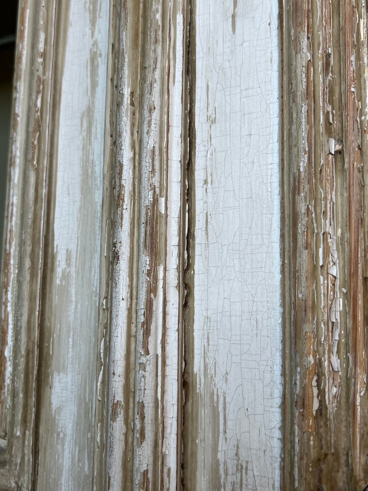 Giant Weathered Library Bookcase from Near Brussels, photo 15