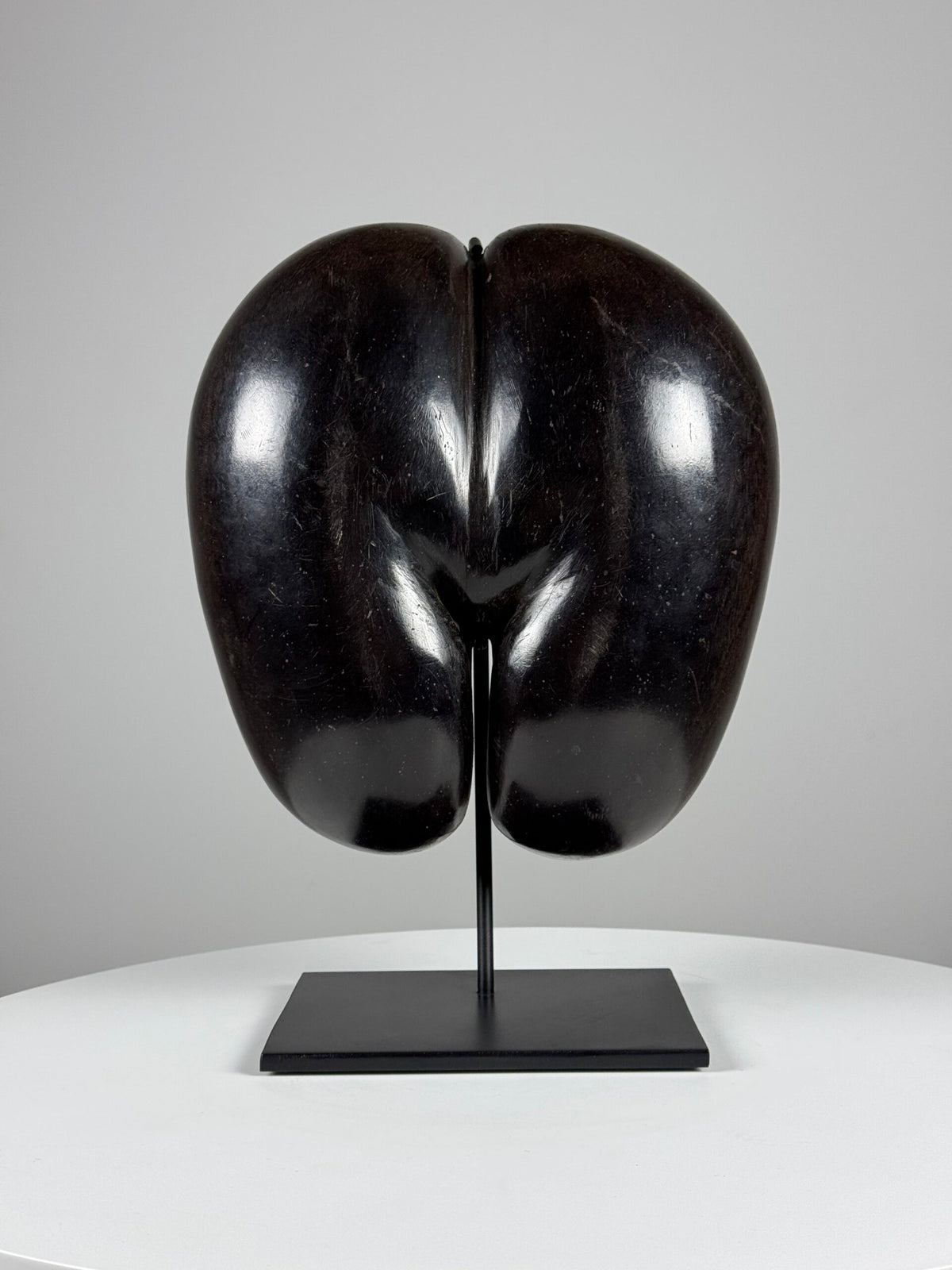Polished Coco de Mer on Stand, photo 2
