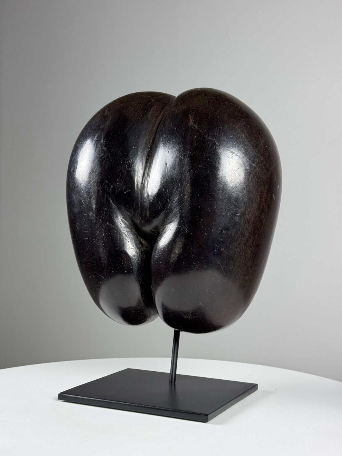 Polished Coco de Mer on Stand, photo 3