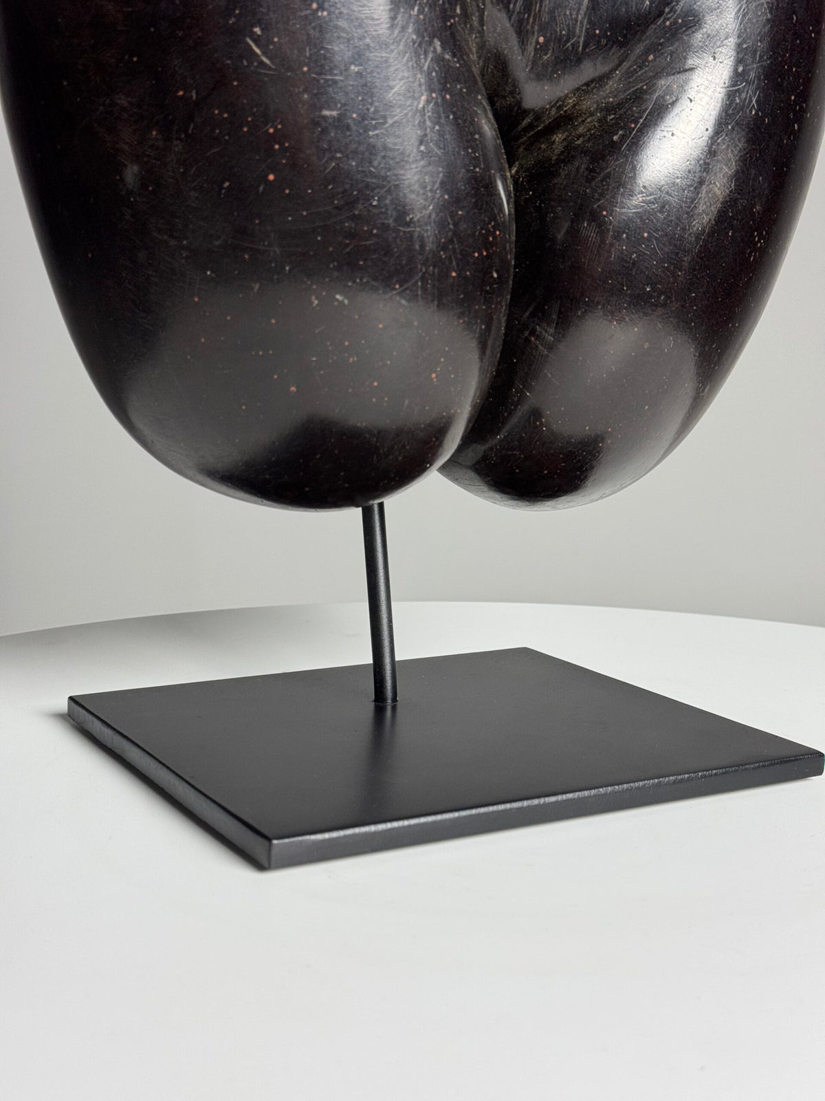 Polished Coco de Mer on Stand, photo 6