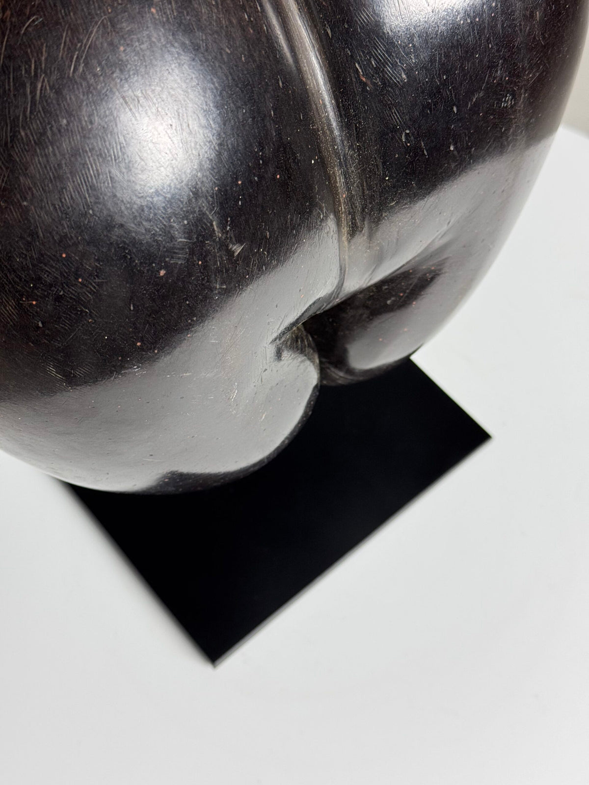Polished Coco de Mer on Stand, photo 7
