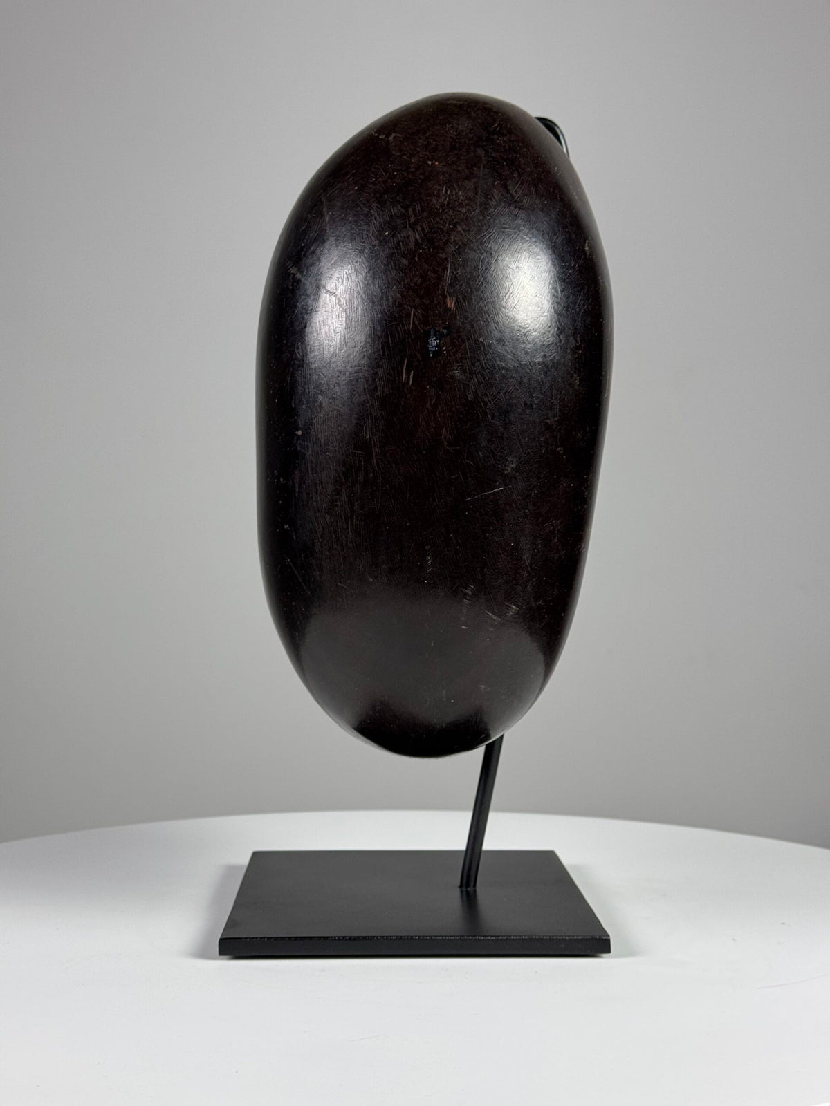 Polished Coco de Mer on Stand, photo 12