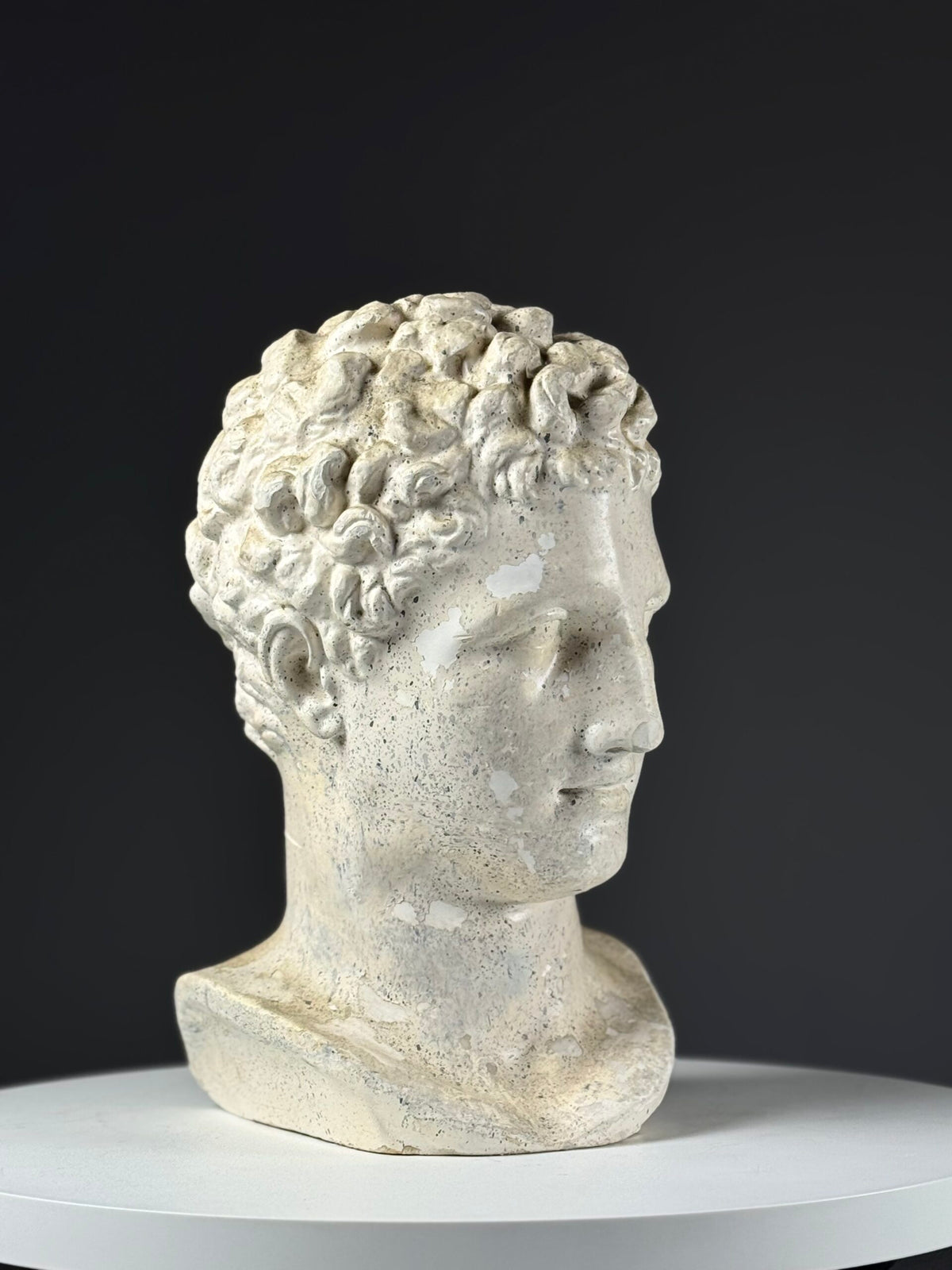 Plaster Head of the God Hermes, photo 16