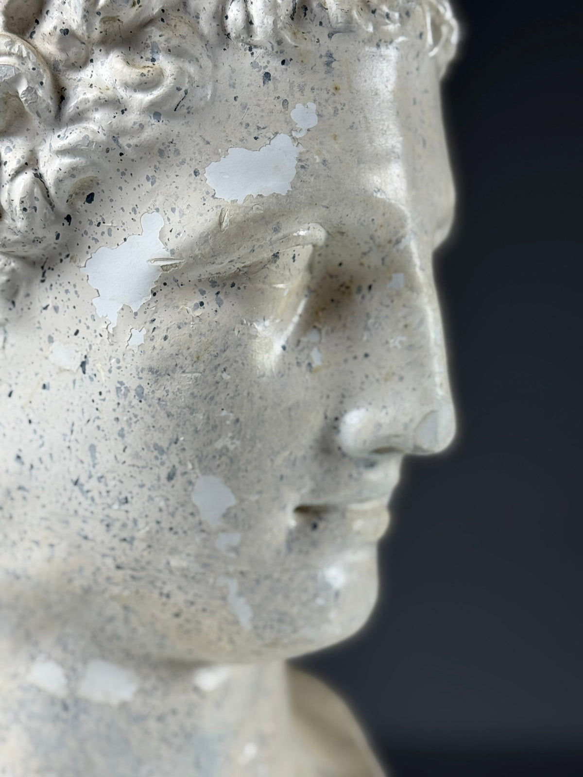 Plaster Head of the God Hermes, photo 14