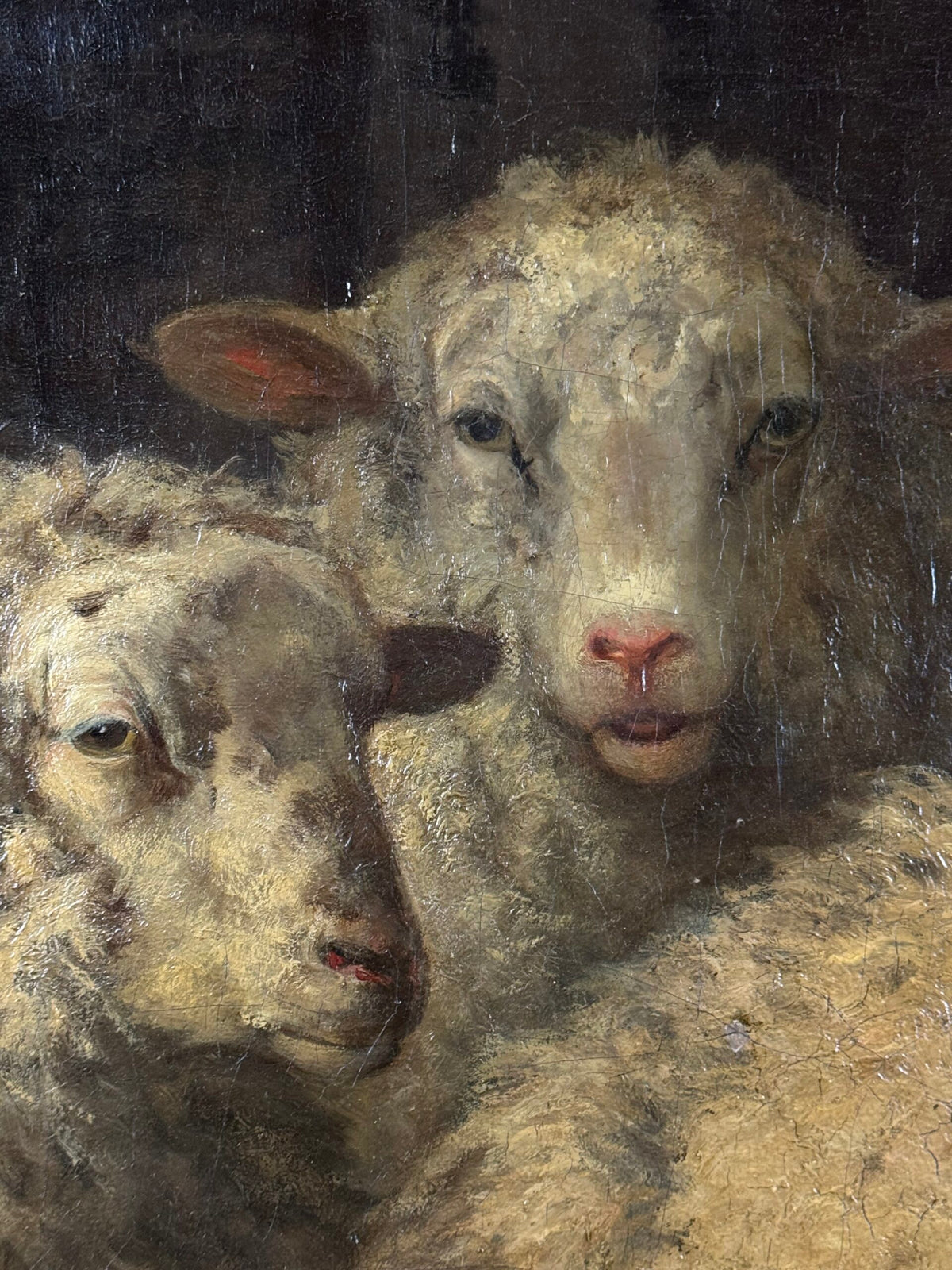 Sheep in the Stable, Oil Painting by Dirk Peter van Lokhorst, 1885, photo 8