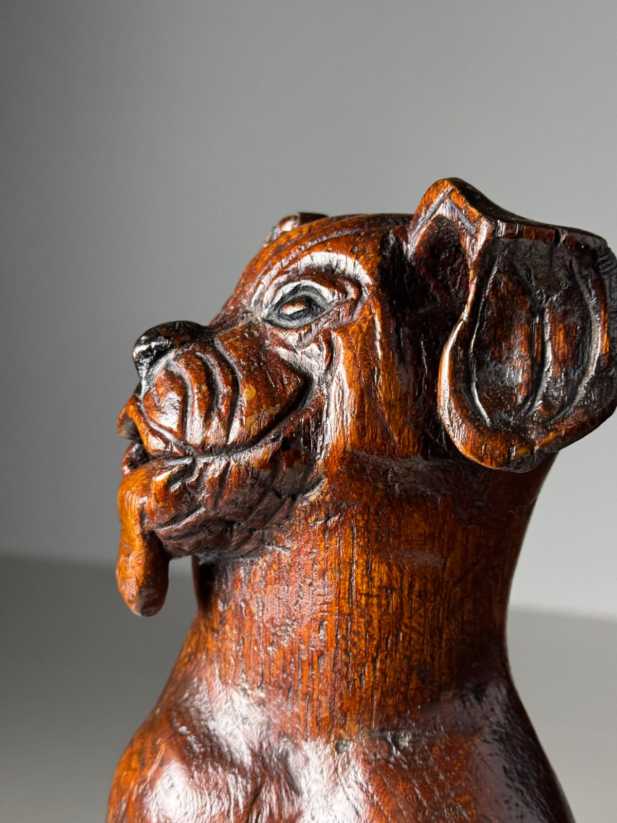 Carved Wooden Dog of Saint Roch, Venice, 18th Century, photo 7