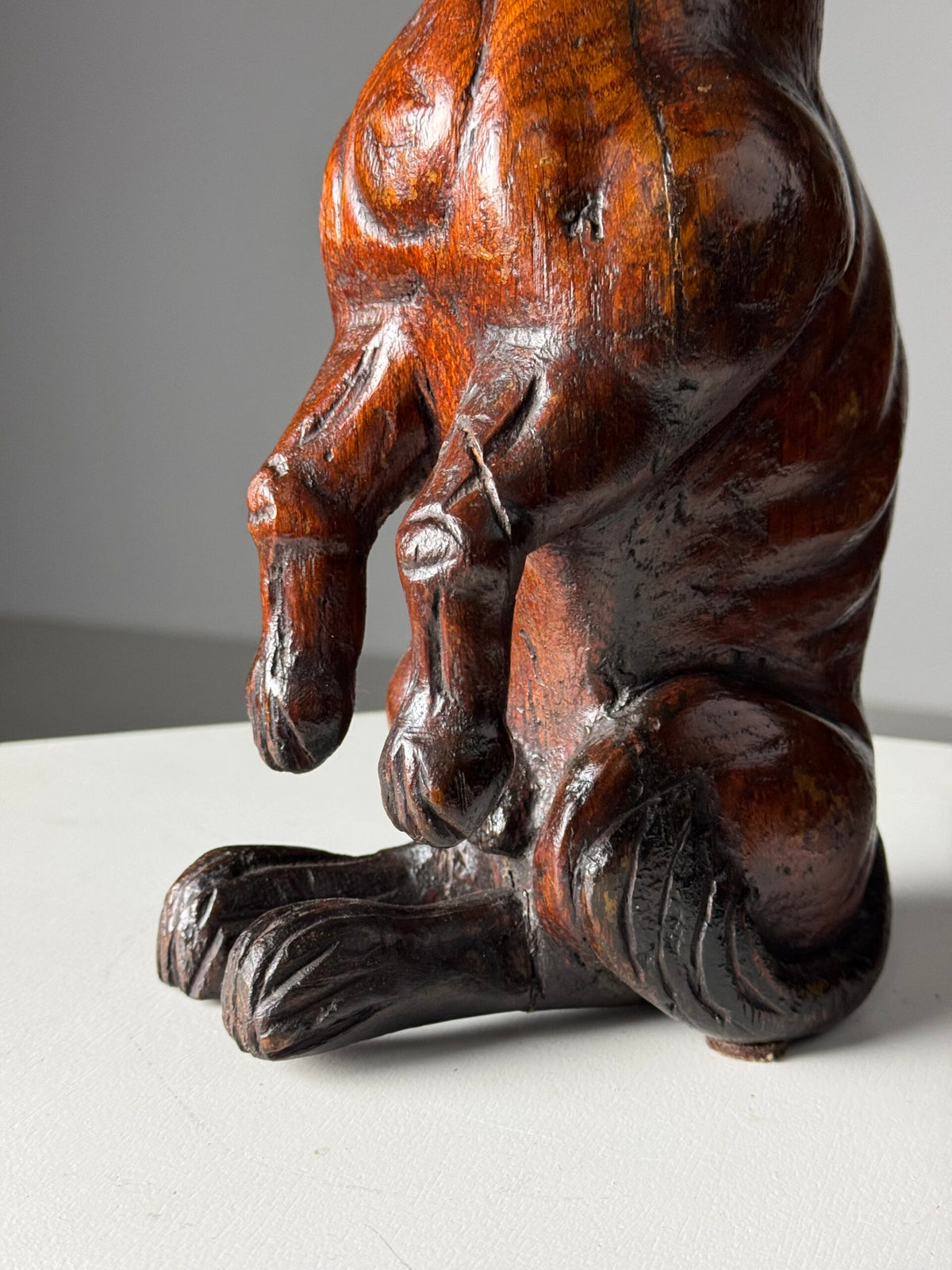 Carved Wooden Dog of Saint Roch, Venice, 18th Century, photo 11
