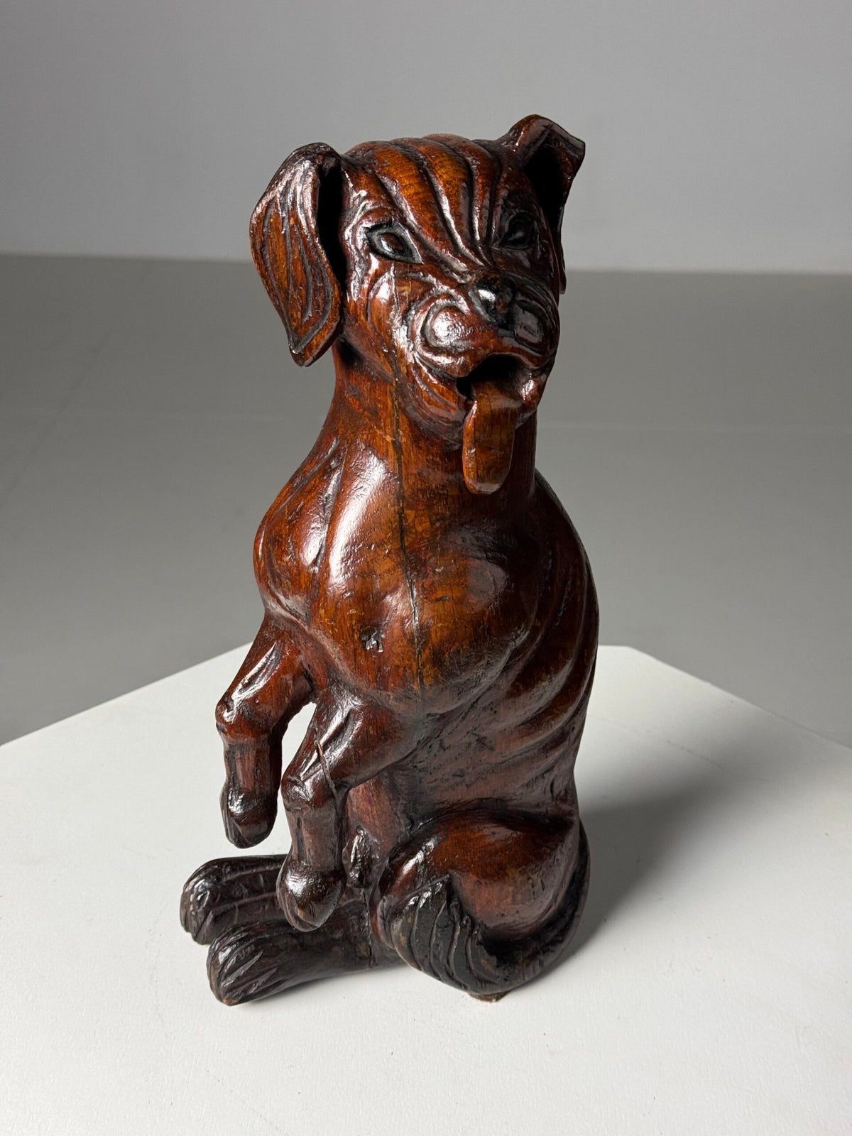 Carved Wooden Dog of Saint Roch, Venice, 18th Century, photo 18