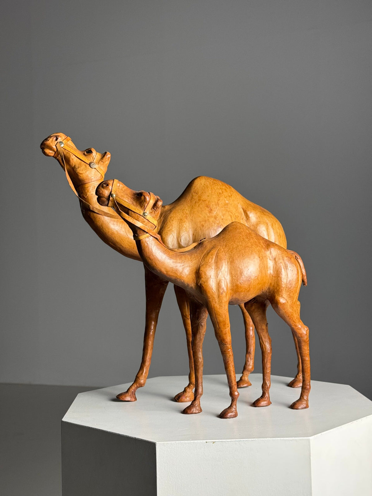 Pair of Leather Covered Dromedaries, England, 20th Century, photo 16