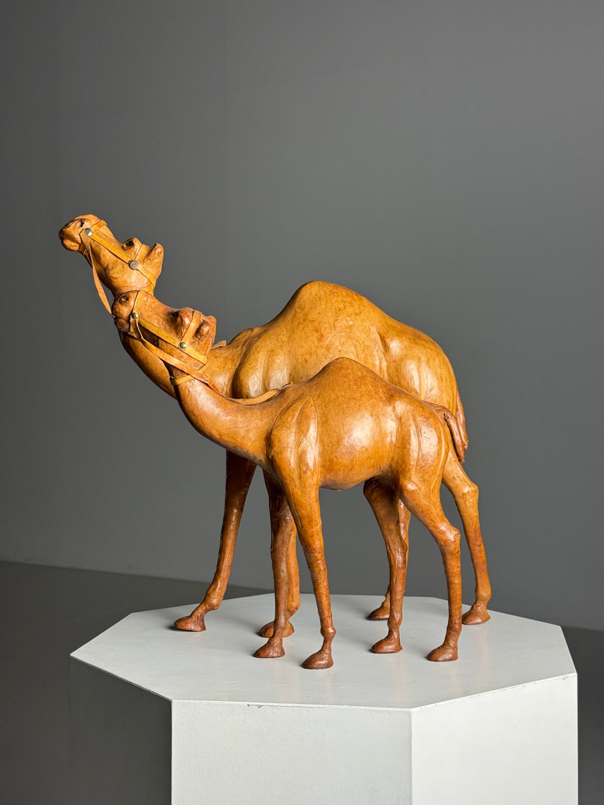 Pair of Leather Covered Dromedaries, England, 20th Century, photo 15
