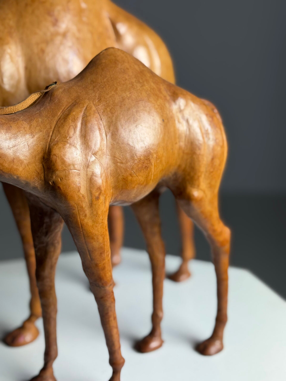 Pair of Leather Covered Dromedaries, England, 20th Century, photo 13