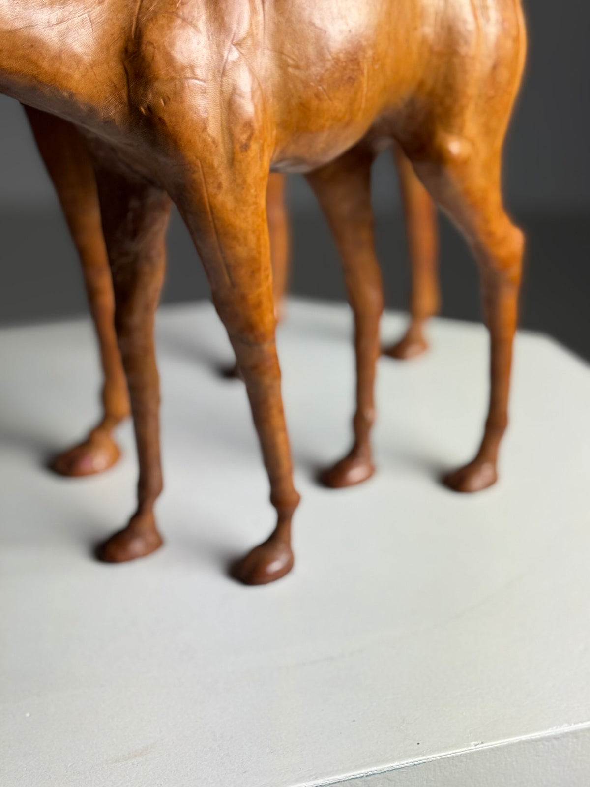 Pair of Leather Covered Dromedaries, England, 20th Century, photo 12