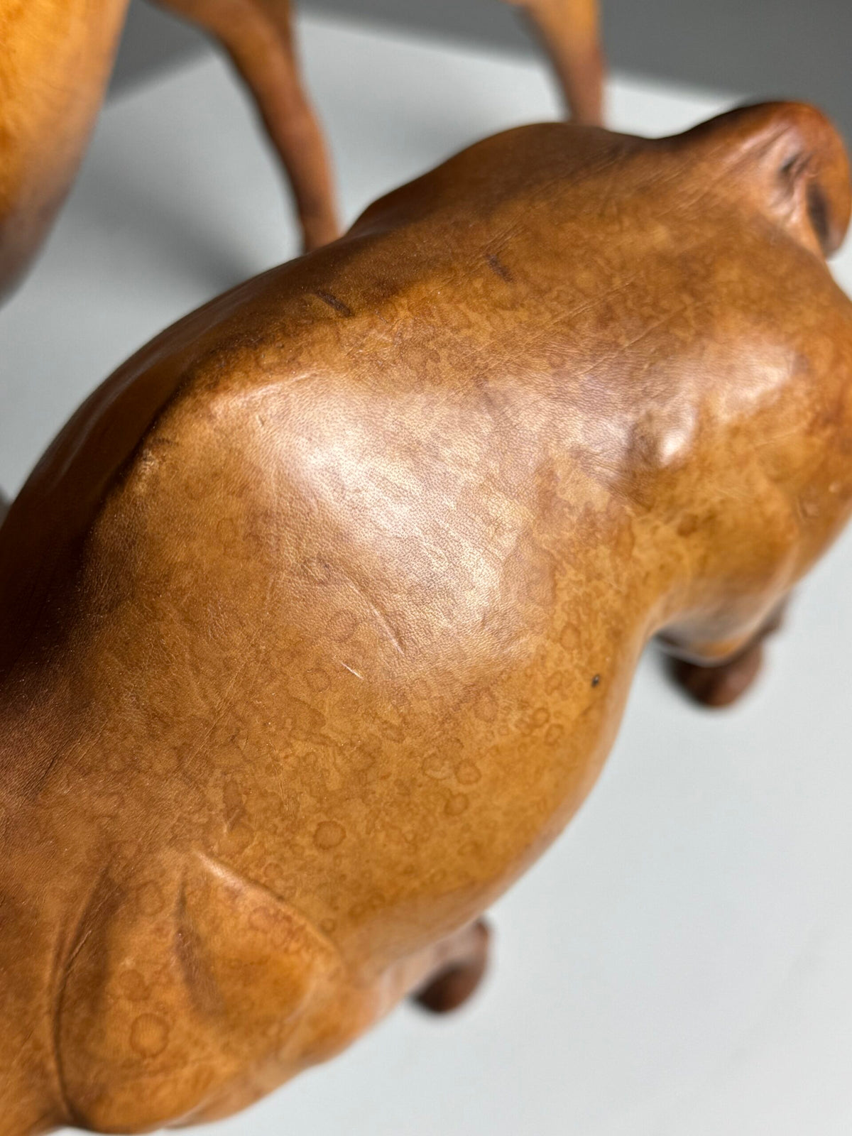 Pair of Leather Covered Dromedaries, England, 20th Century, photo 9