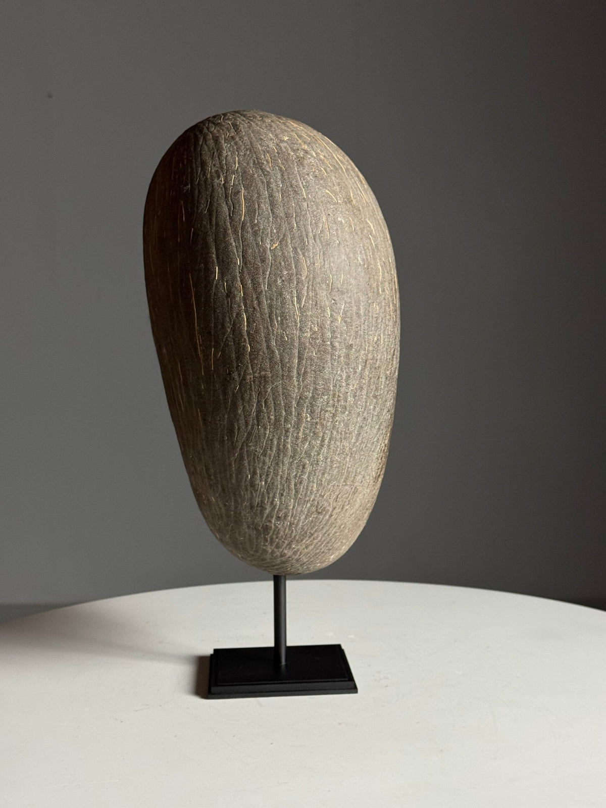 Coco de Mer on Custom Stand, photo 6