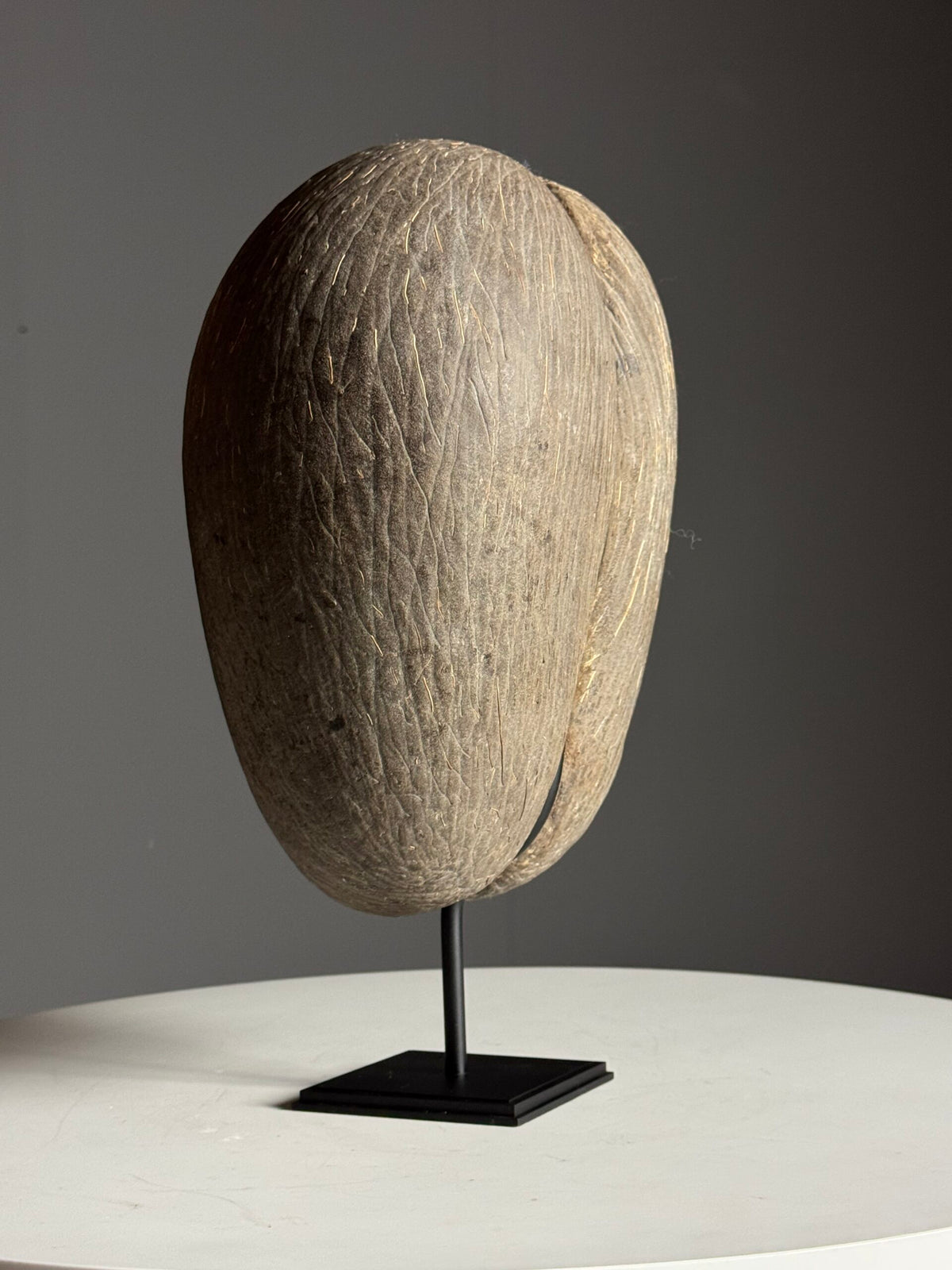 Coco de Mer on Custom Stand, photo 4