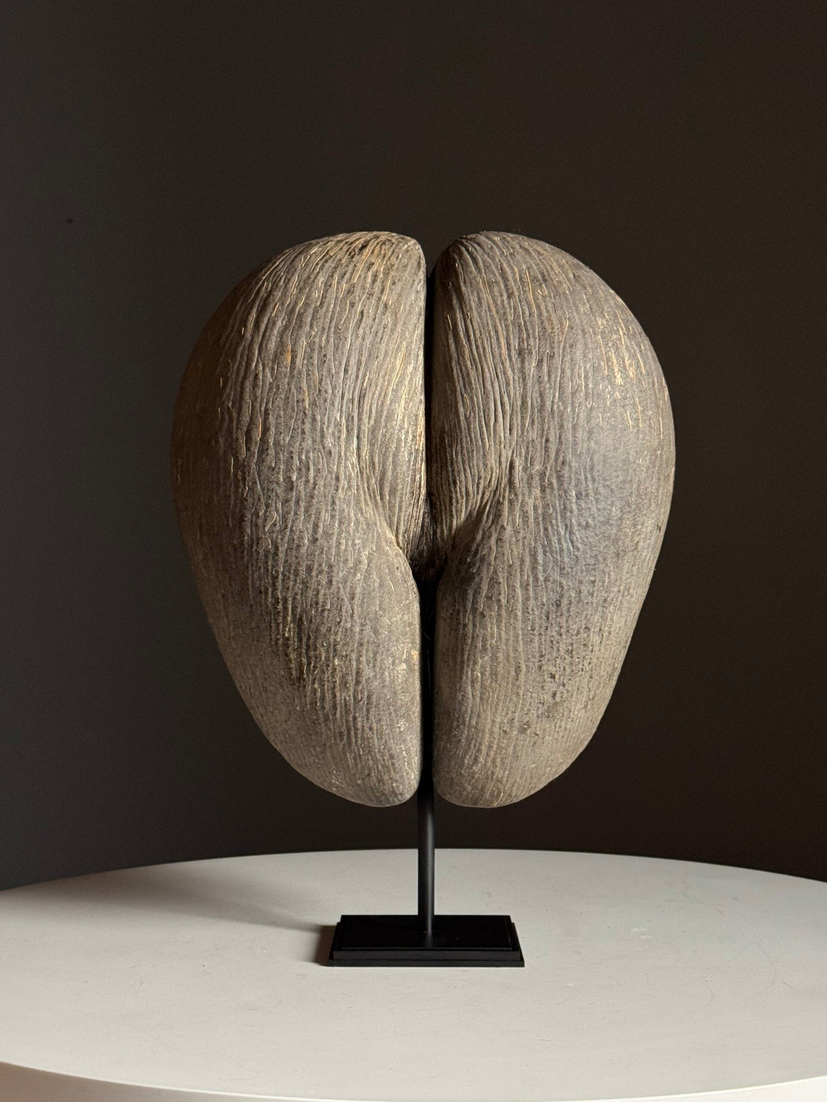 Coco de Mer on Custom Stand, photo 1