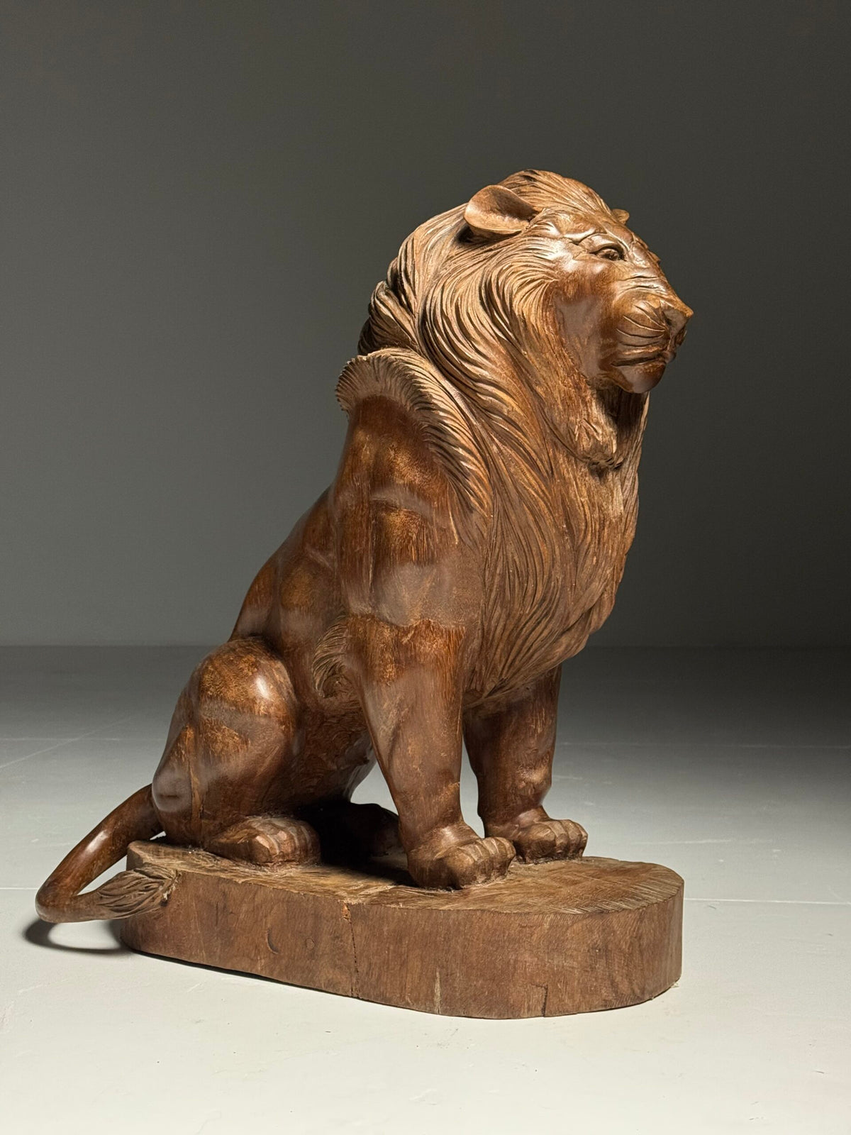 Large Carved Wooden Seated Lion, South East Asia, Late 20th Century, photo 10