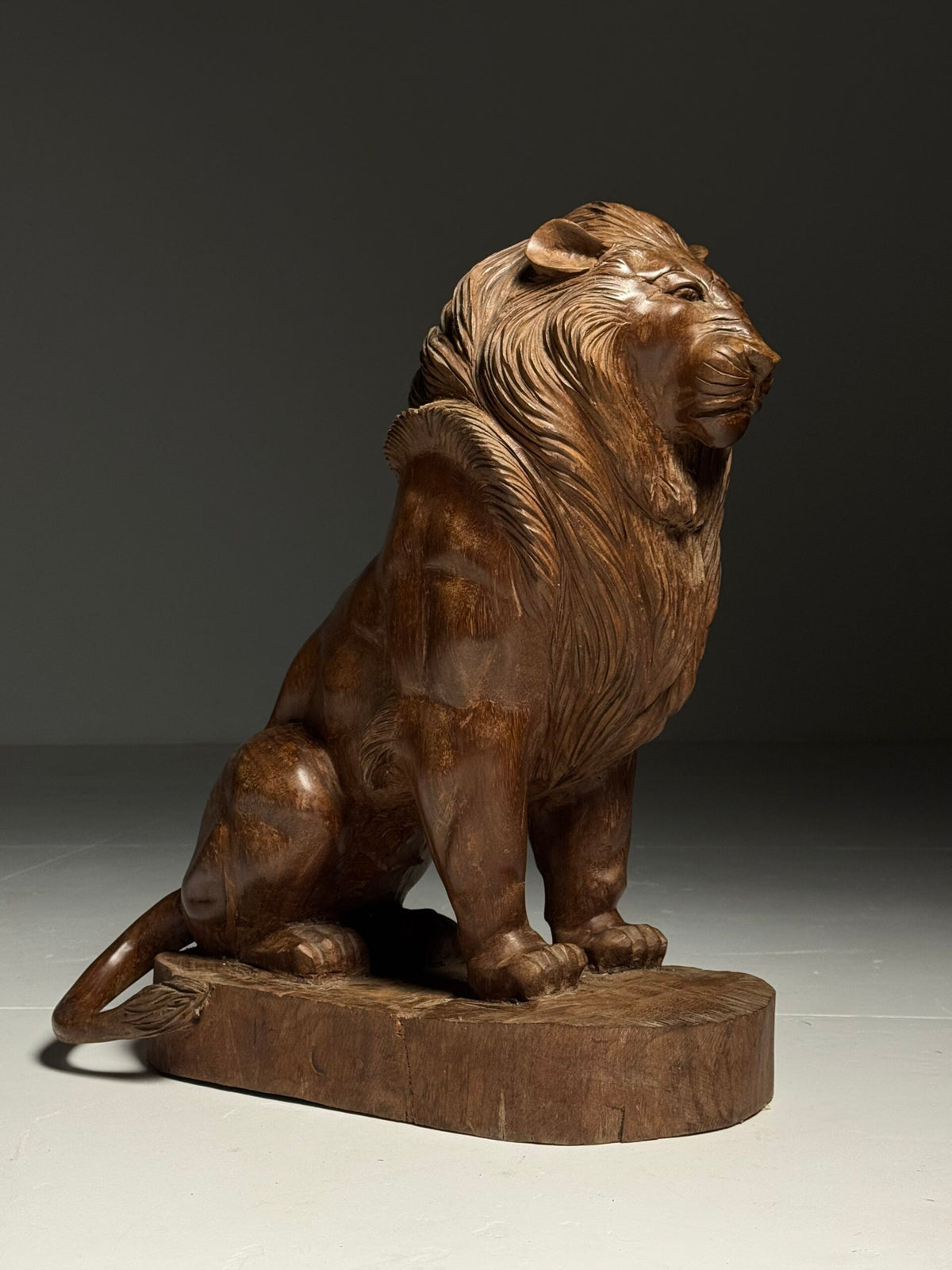 Large Carved Wooden Seated Lion, South East Asia, Late 20th Century, photo 11