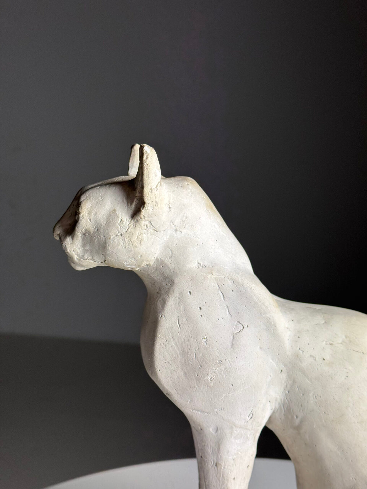 French Plaster Cat Figurine, 20th Century, photo 4