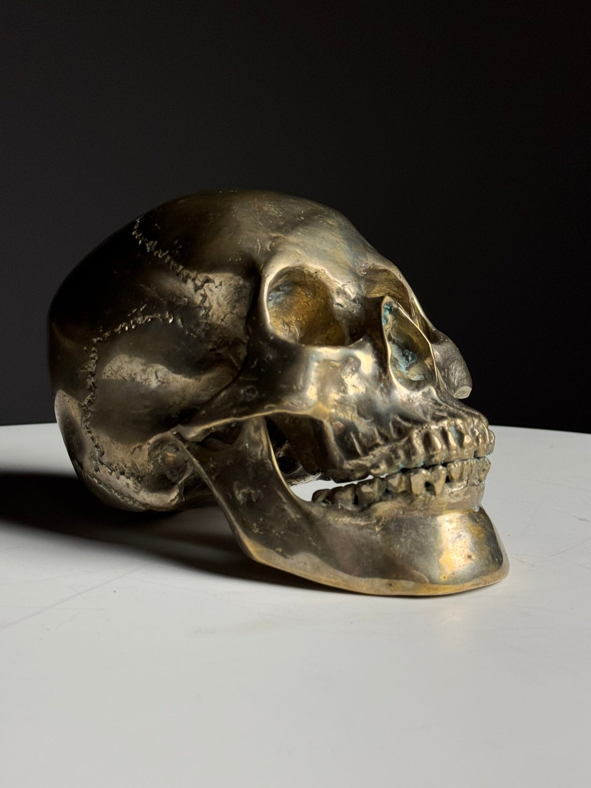 Bronze Skull, Early to Mid 20th Century, photo 12
