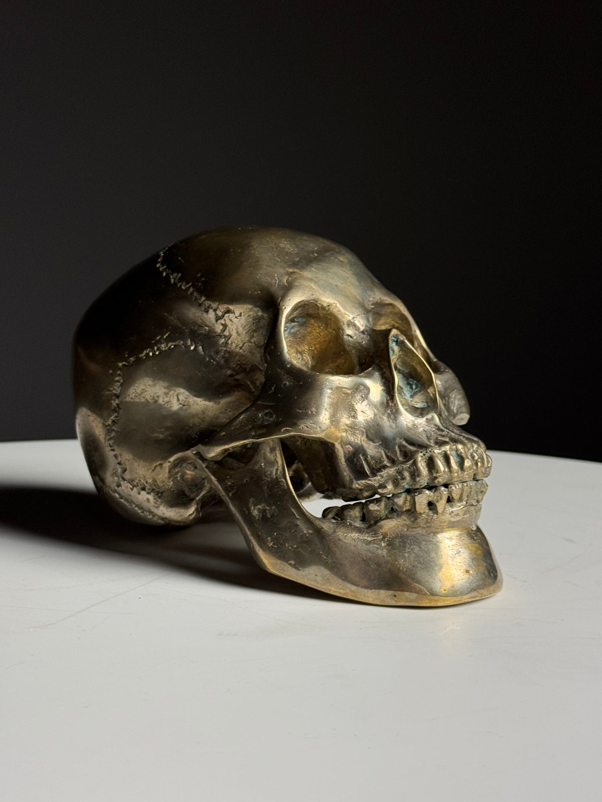 Bronze Skull, Early to Mid 20th Century, photo 11
