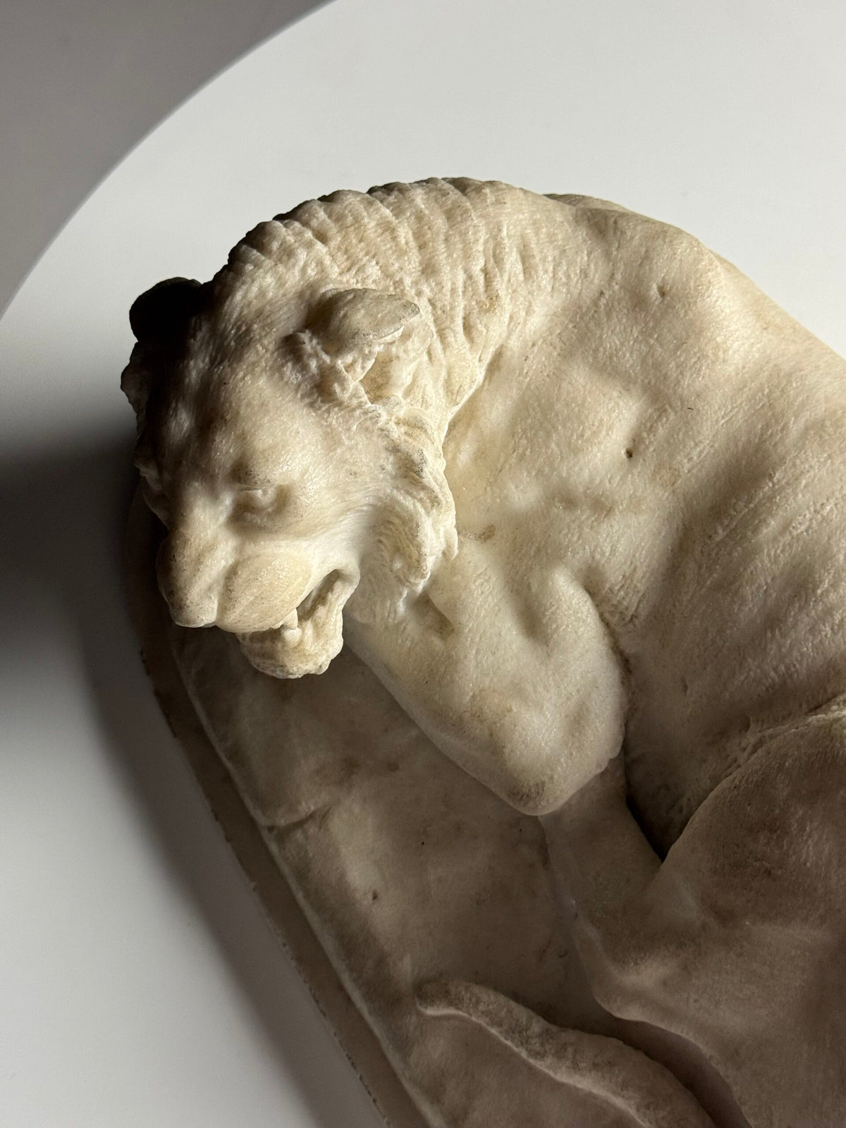Cast Marble Sculpture of a Reclining Lion, photo 8