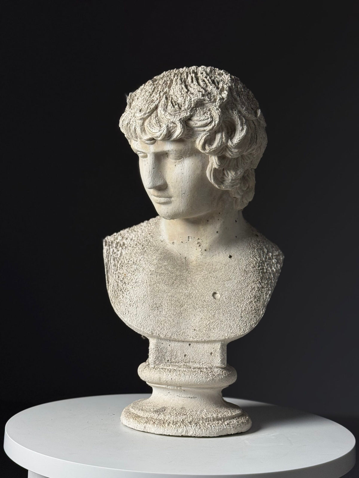 Plaster Bust of Antinous, circa 2000, photo 1